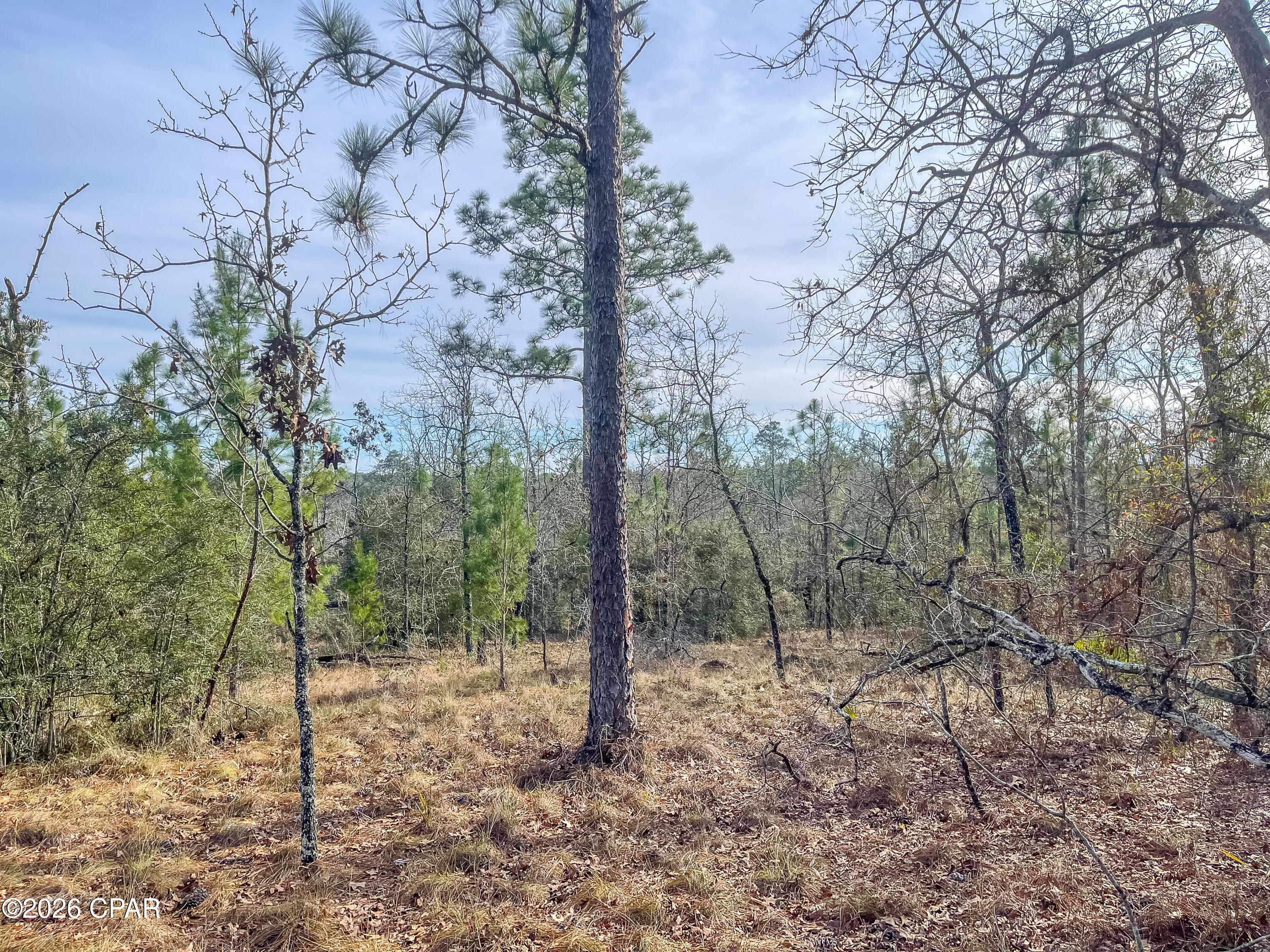 [No Recorded Subdiv] - Land