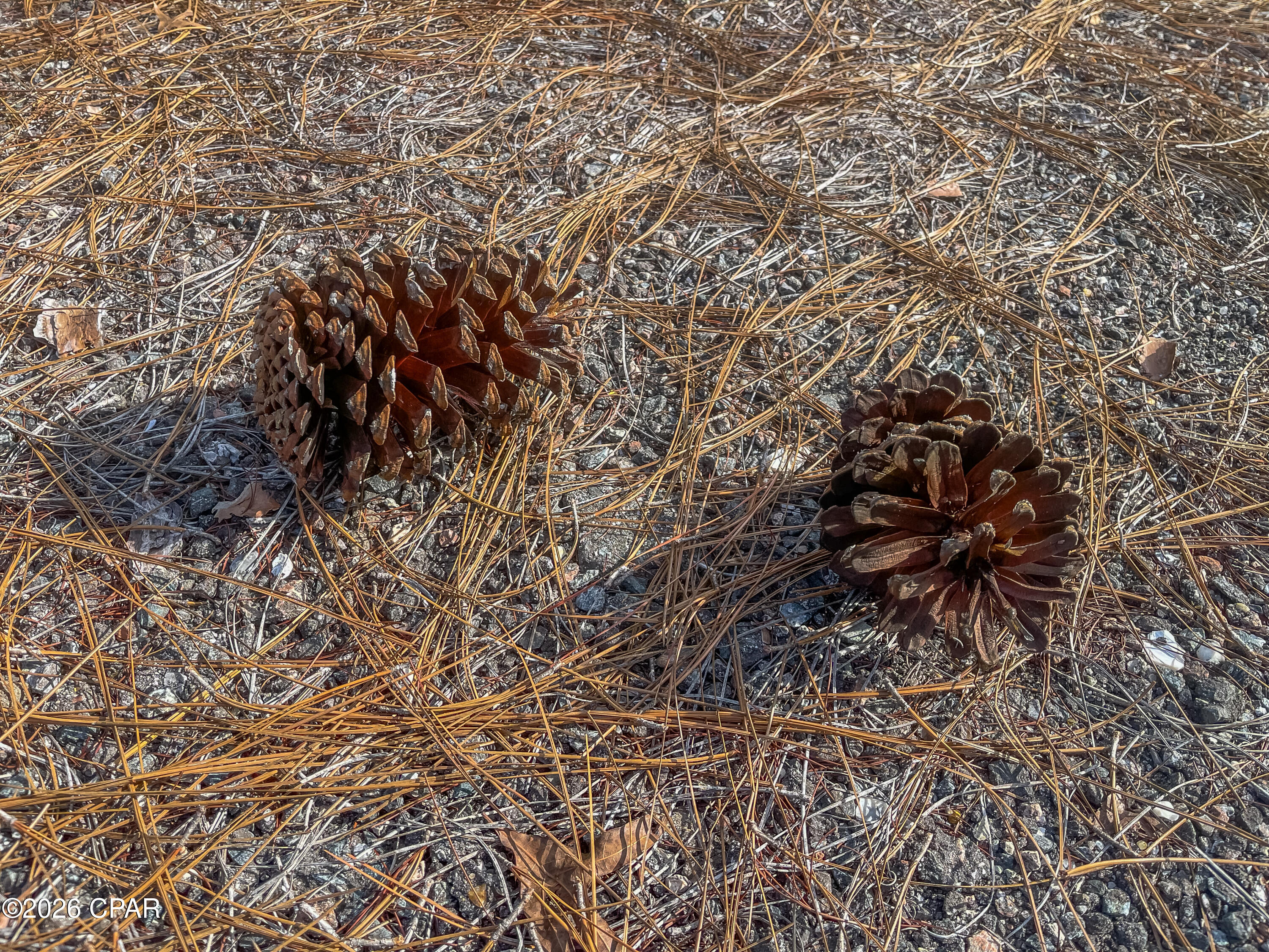 [No Recorded Subdiv] - Land