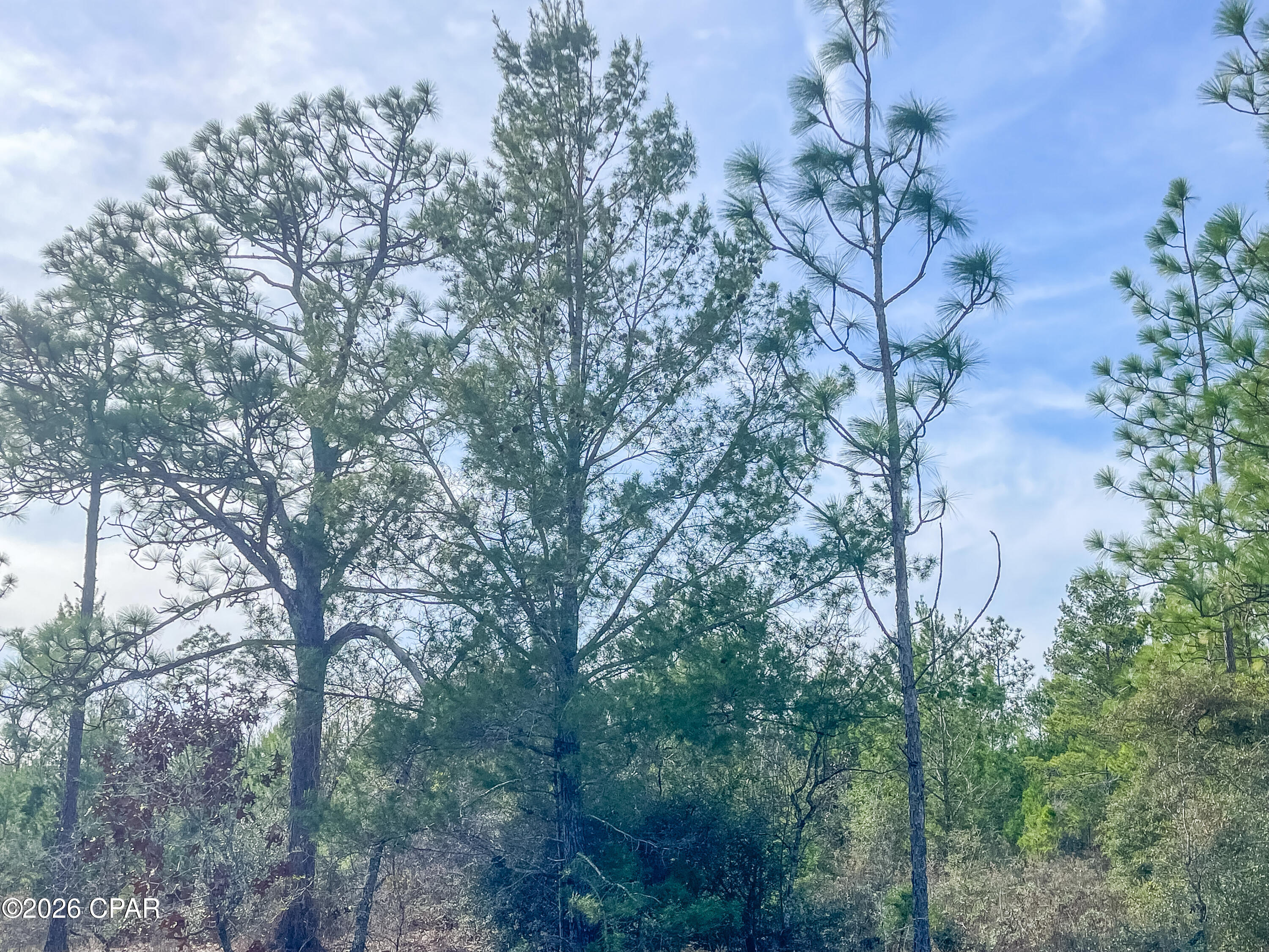 [No Recorded Subdiv] - Land