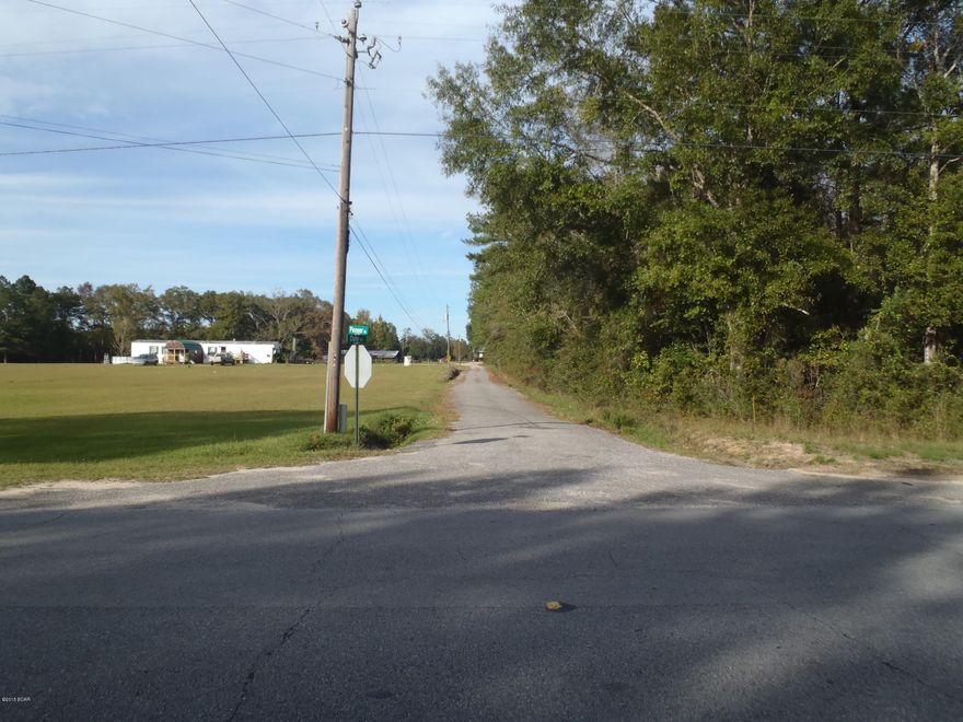 Features of this wooded home site offers you the opportunity to carve out the right spot for that home you have been craving.  Please go take a look, we won't mind.  Paved road too!
