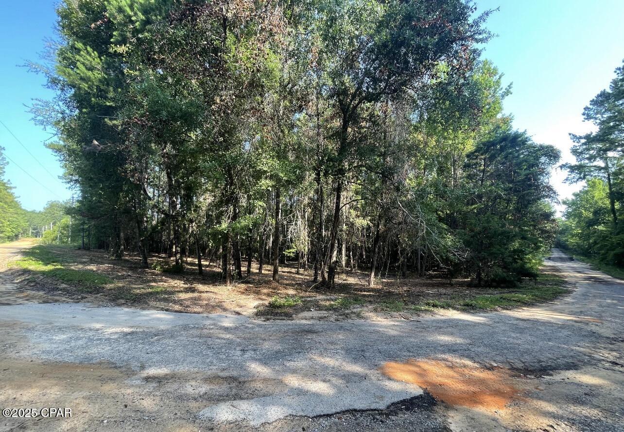 Two Creek Estates - Land