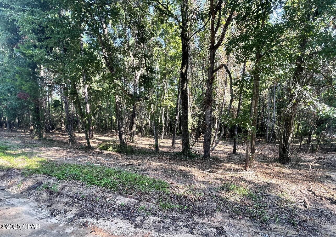 Two Creek Estates - Land