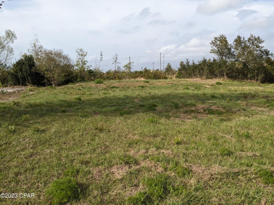 Vacant residential land - home located on it previously. Property removed. Just outside of the bustling city yet still within city limits. Wonderful neighborhood. So much potential.