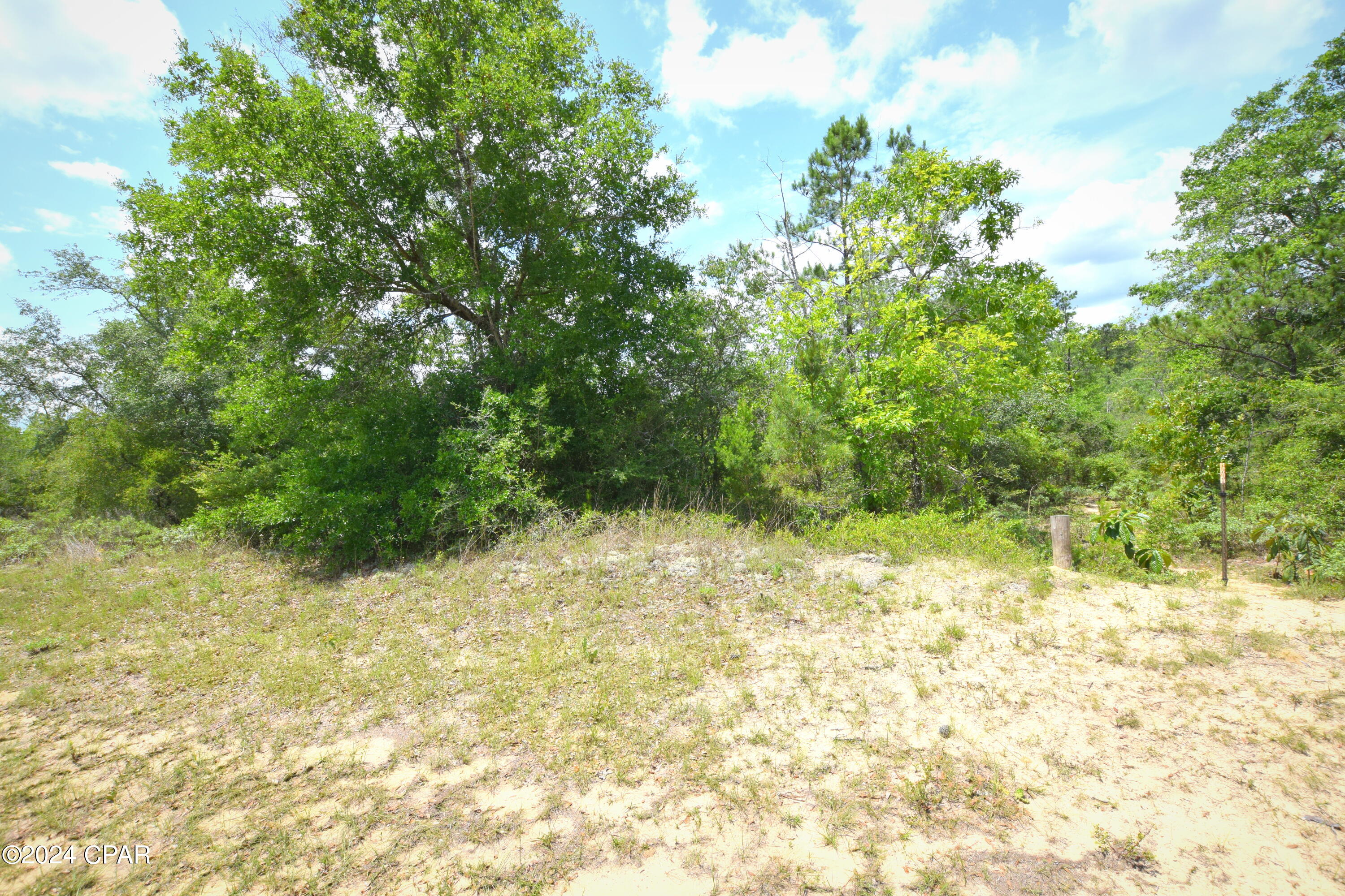 Sunny Hills Unit 11 - Land