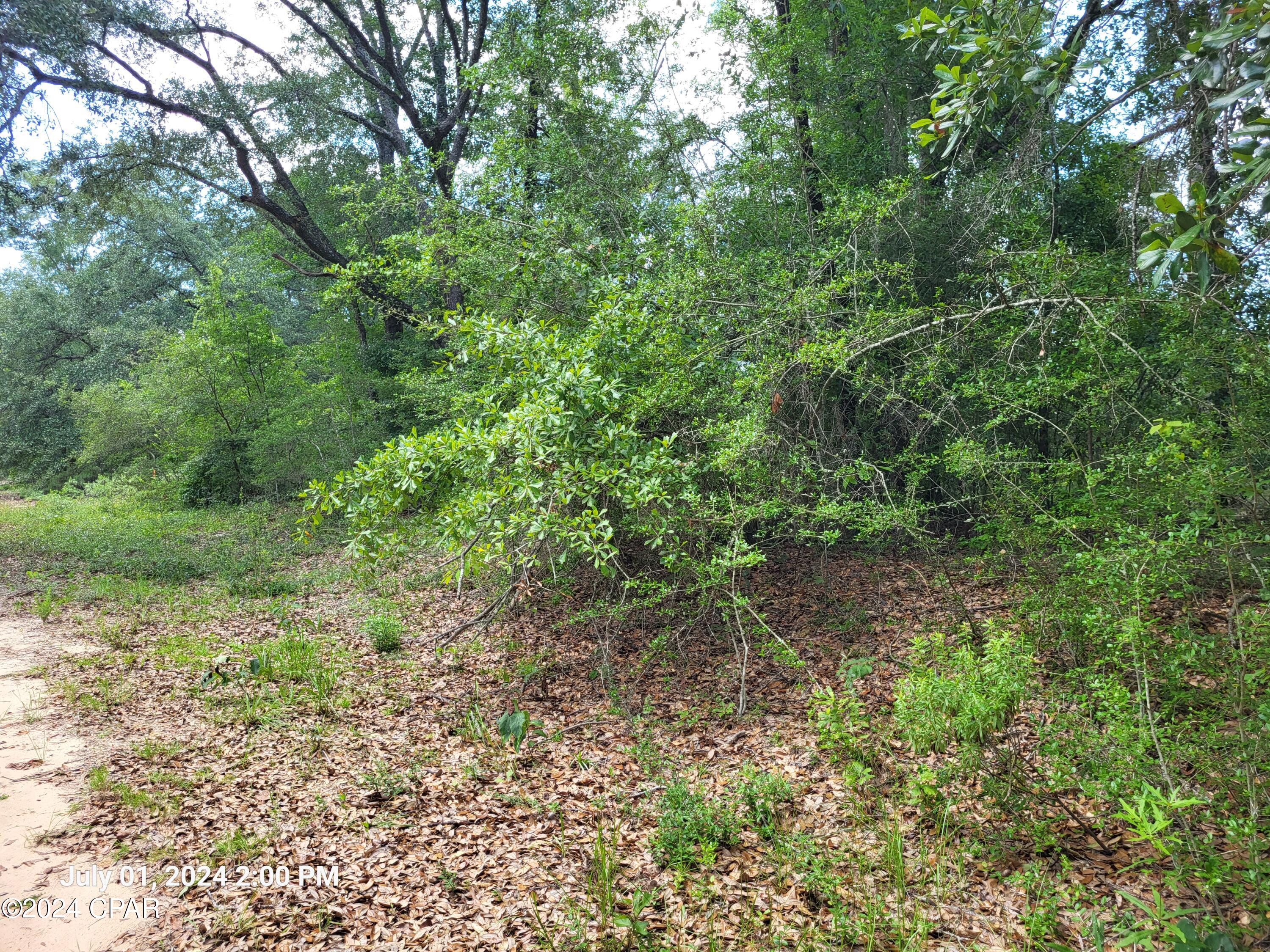 Compass Lake In The Hills - Land
