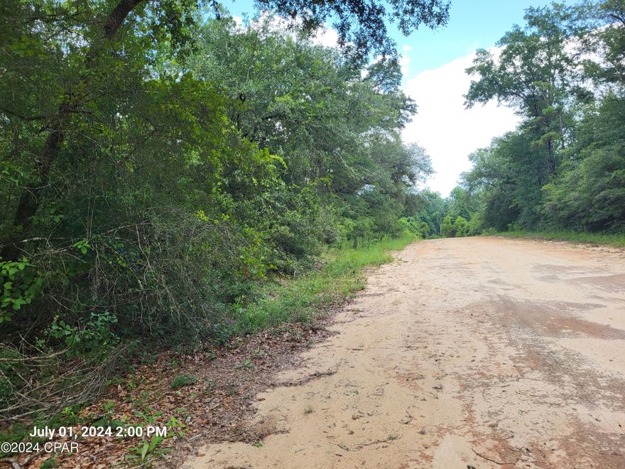 Looking for a Lot for your New Home?  This beautifully wooded lot is ready for your Custom Home or Manufactured Home.  This land is ready for you to get started on your future!  Located about 6 miles from Compass Lake, you can enjoy the lake from a Public Boat Ramp on Lakeside Drive.  No HOA but there is a voluntary POA (Property Owners Association).  This lot appears to be level and high and dry.  Drive by and check it out.