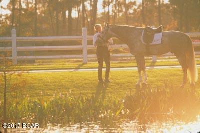 Kelly Plantation - Land