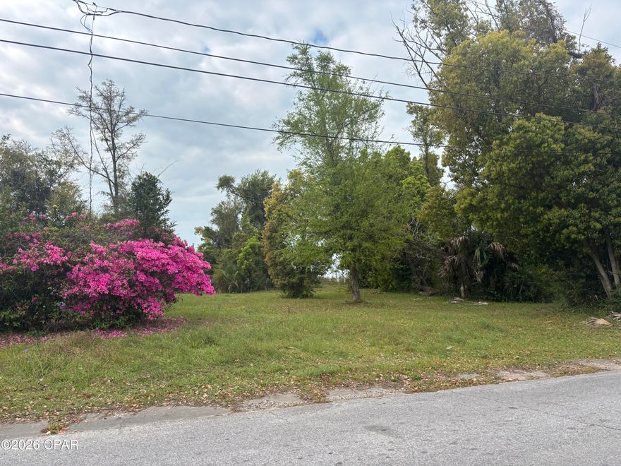 Located in the Glenwood Addition of Panama City, this property presents a rare opportunity with MU-2 (Mixed-Use) zoning, offering exceptional flexibility for residential, multi-family, or potential commercial uses (buyer to verify with city planning).

Situated just minutes from downtown Panama City, this centrally located property provides convenient access to shopping, dining, schools, and local businesses--making it ideal for investors, developers, or buyers looking to maximize potential.

The lot offers ample space and versatility, making it a great candidate for redevelopment, income-producing property, or a live/work setup. With continued growth and revitalization in the surrounding area, this property is positioned for strong upside.