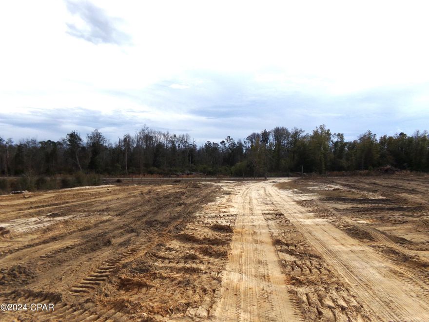 This secluded tract of land has an abundance of deer and turkey along with a cypress pond.  The owner has cleared a homesite spot on top of a hill overlooking the potential pond in front and the cypress pond in back of the homesite.  If privacy is a concern you will have a hard time finding a more ideal tract of land.  There is a road that leads from the 60 acres in front towards the additional 20 acres towards the back of the property.  There is a good amount of hardwood on the land and some  scattered volunteer pines too.  Don't miss out on this opportunity to have your own ranch with a front and a back 40!