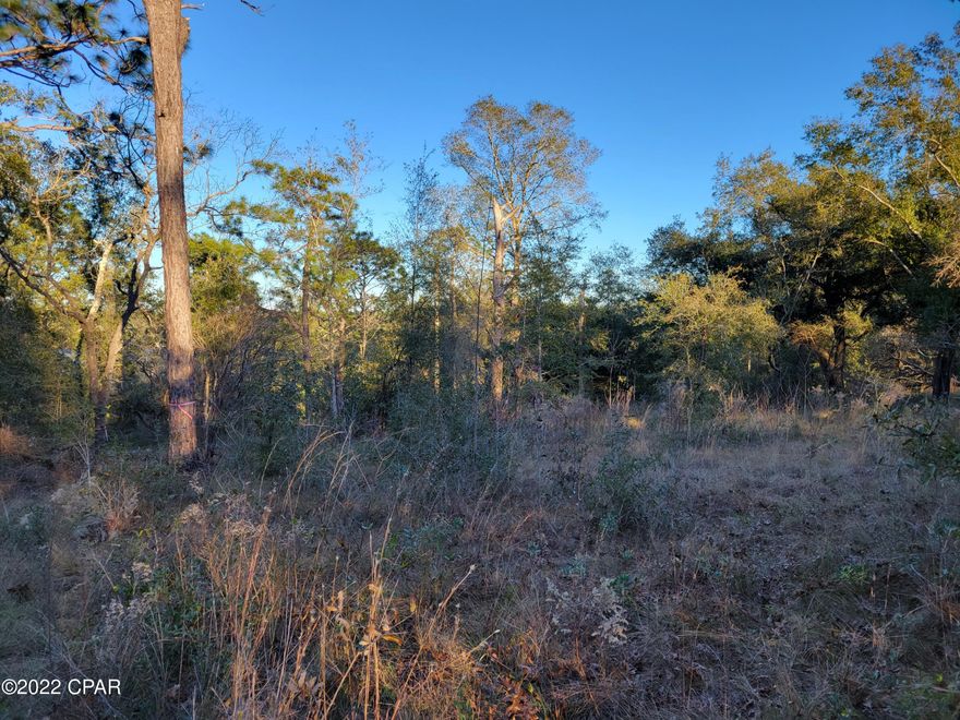 This waterfront lot is ready for your dream home or weekend getaway for your family. Enjoy the water view of the clear lake that is about a half-mile across, or about 1.5 miles around for kayaking. It is spring fed and good fishing. There is about 120 feet or road frontage and is located on the western side of the lake. Park your boat at the water's edge and enjoy it at your convenience. The subdivision has live gate guards weekdays. Enjoy the second lake that has a toddler playground, basketball court, tennis court, grill stations and more.