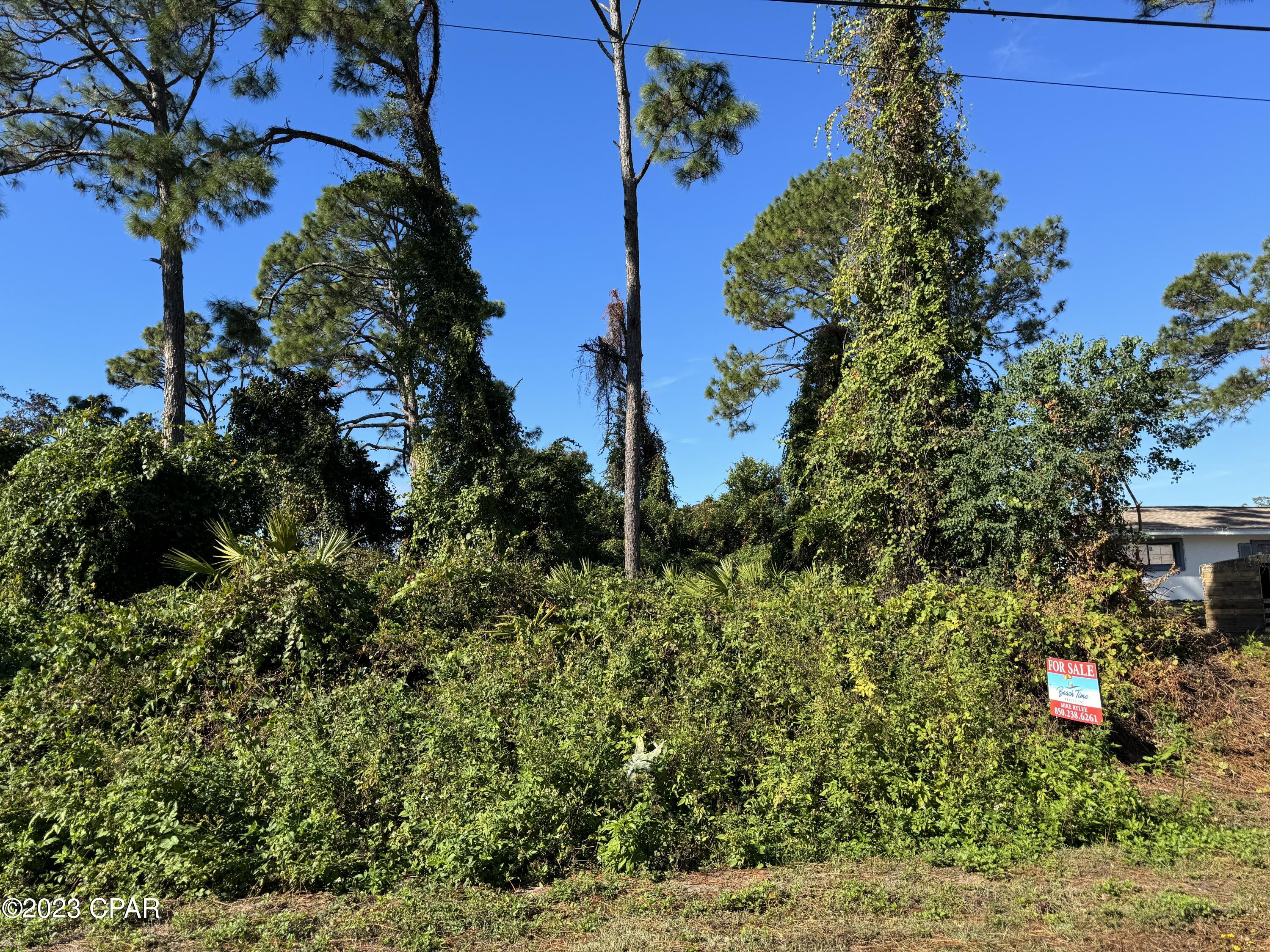 Treasure Cove Unit 2 - Land