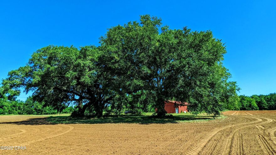 Ready to move to a nice future homestead? With a little bit of work to finish a started barndominium this could be your dream farmstead. This 24.21acre piece of heaven checks almost all of the boxes. Trees and wildlife galore? Check! Pond? Check! Productive farmland? Check! Metal barn with 3 inches of closed-cell spray foam insulation, finished concrete floors, and 200 amp service? Check! Secluded and very private? Check!  Perk test done and approved for a septic system? Check! Beautiful Granddaddy oaks in the front yard? Absolutely!  Check! Call today for other details and to schedule a showing.