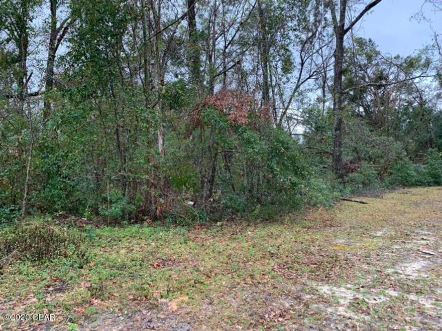 Nice wooded building lot in town , close to everything.