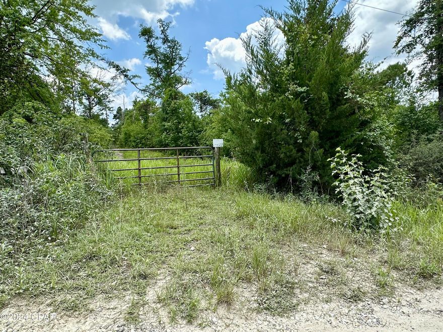 Beautiful 20 acres waiting for your dream home. Located just off Hwy 231, only 25 minutes from Panama City. You can enjoy the peaceful country life style or the excitement of Panama City Beach.