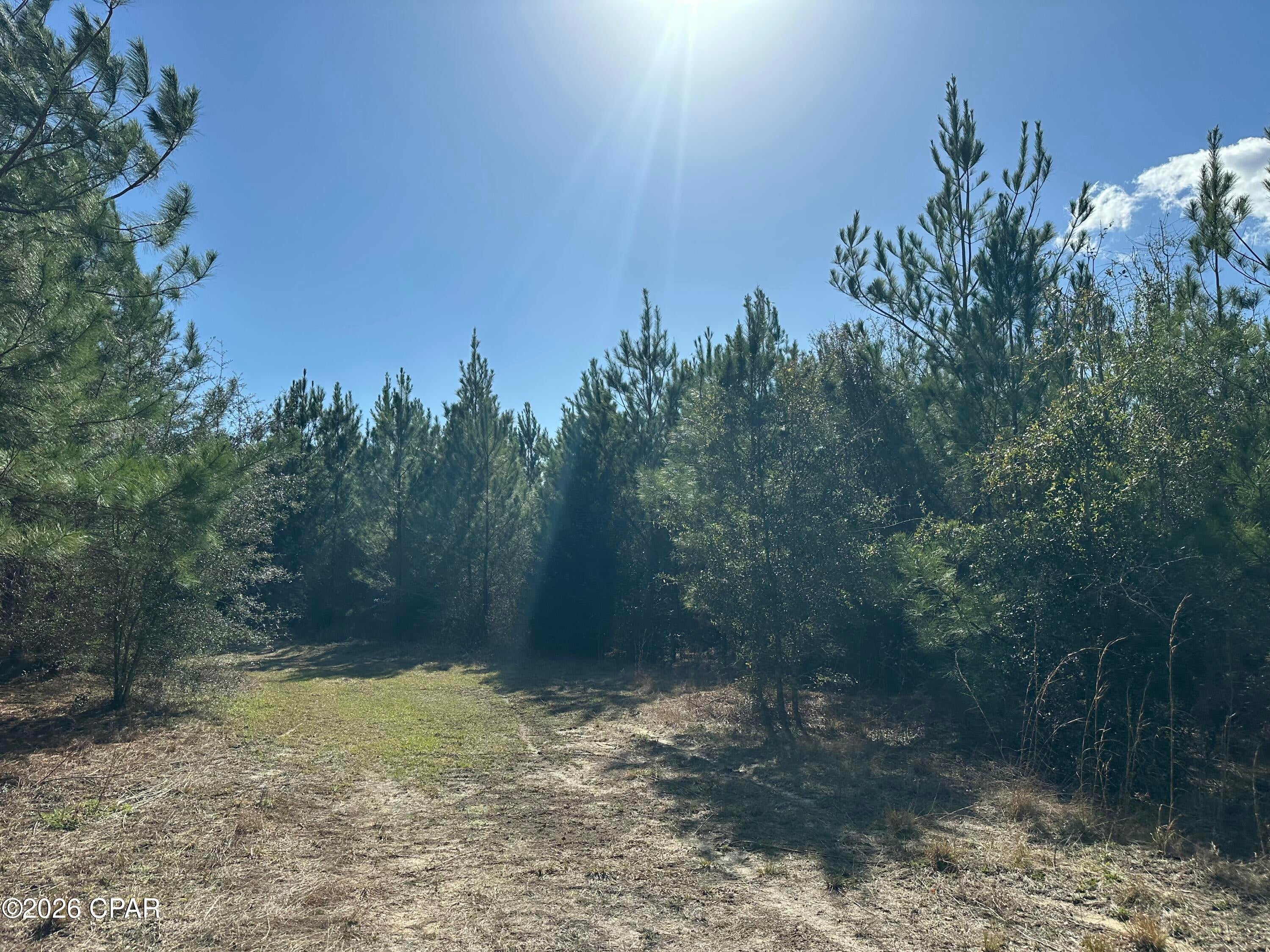 Tract#6317 N Harris Stevenson Road