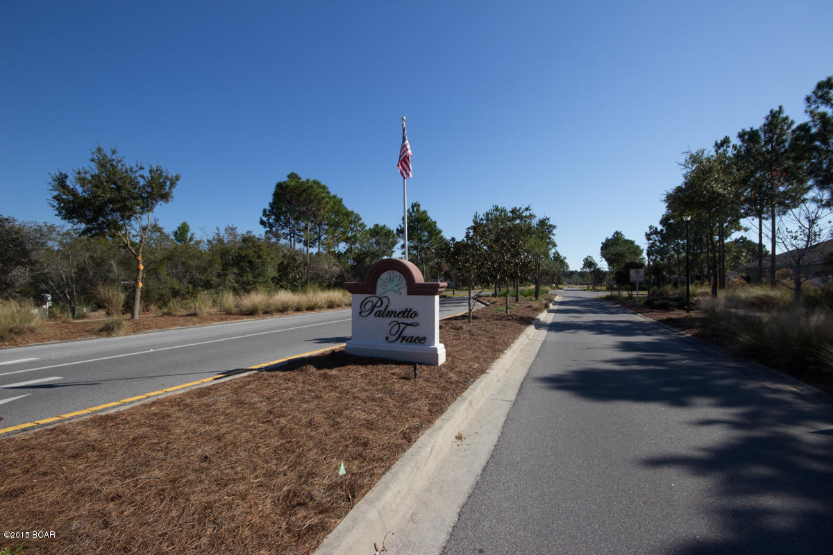 Palmetto Trace Phase IV - Residential