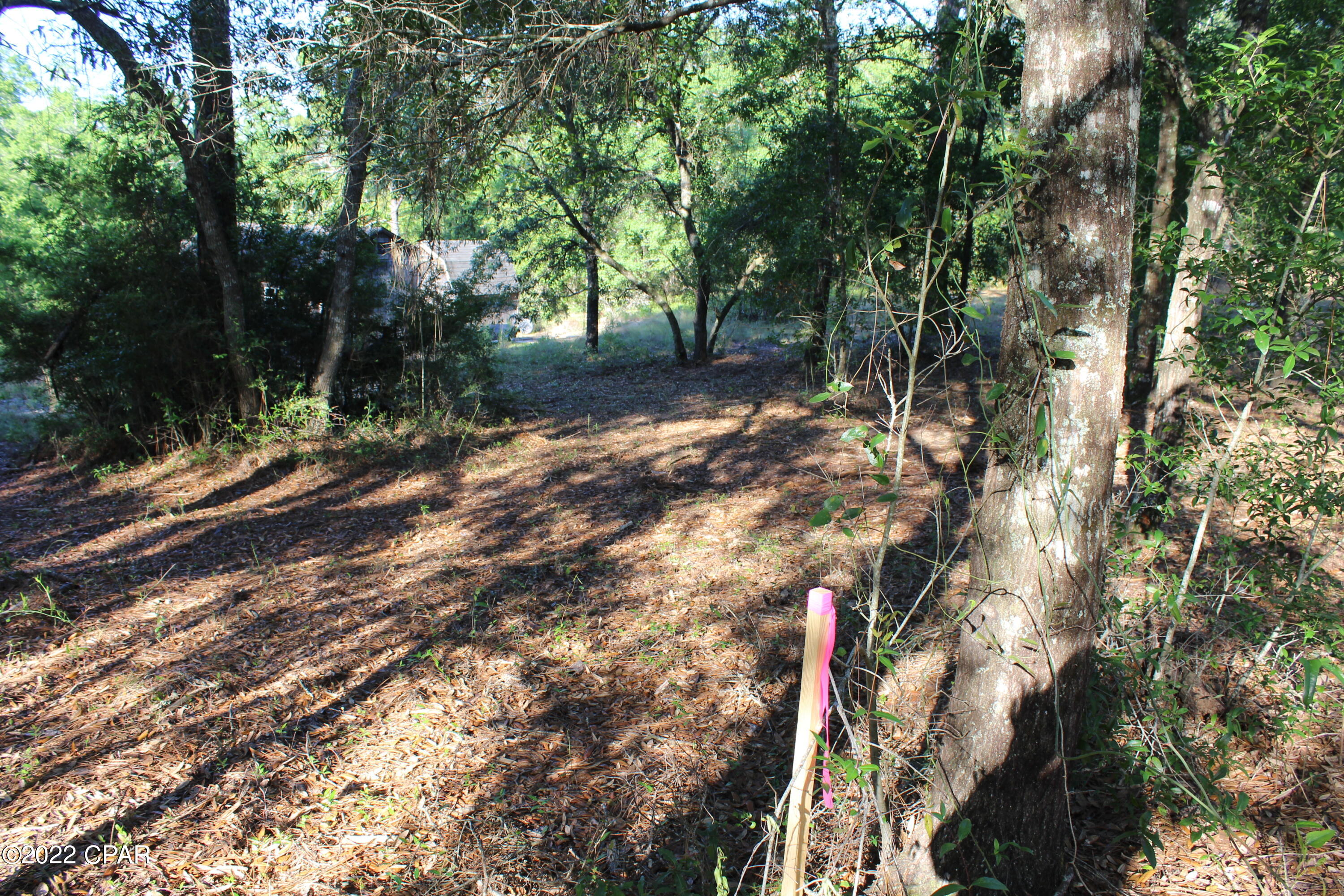 Paradise Lakes - Land