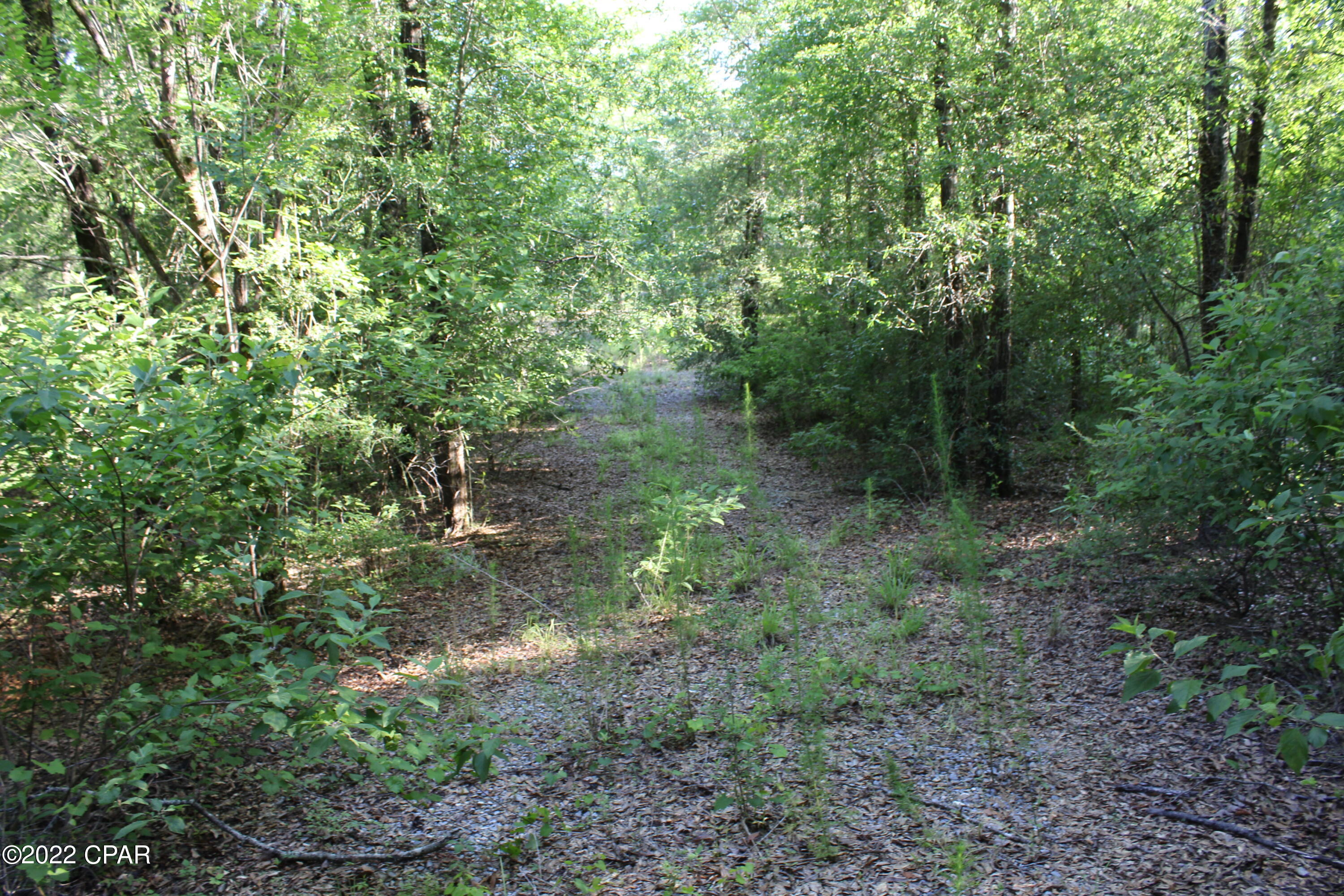 Paradise Lakes - Land