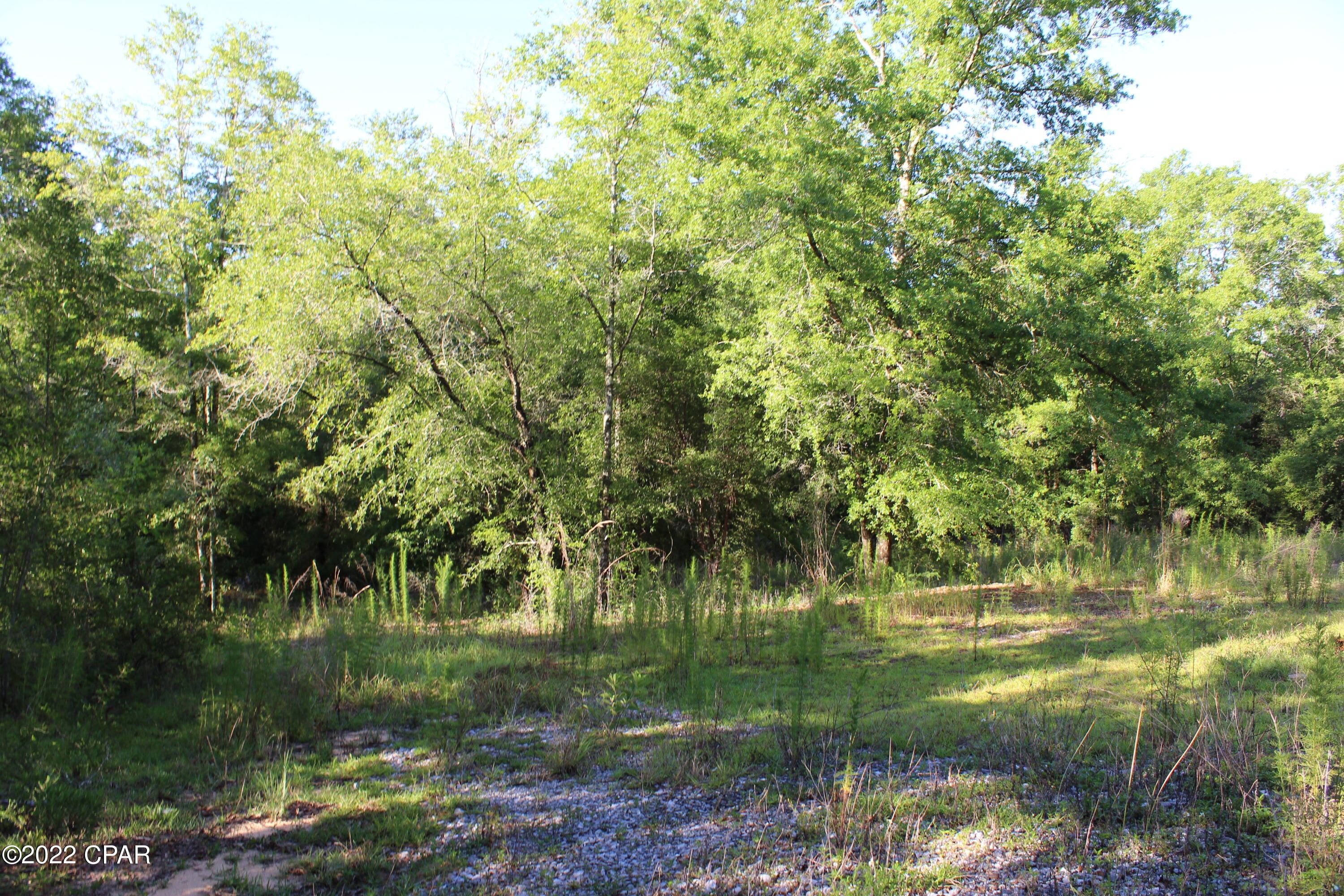 Paradise Lakes - Land