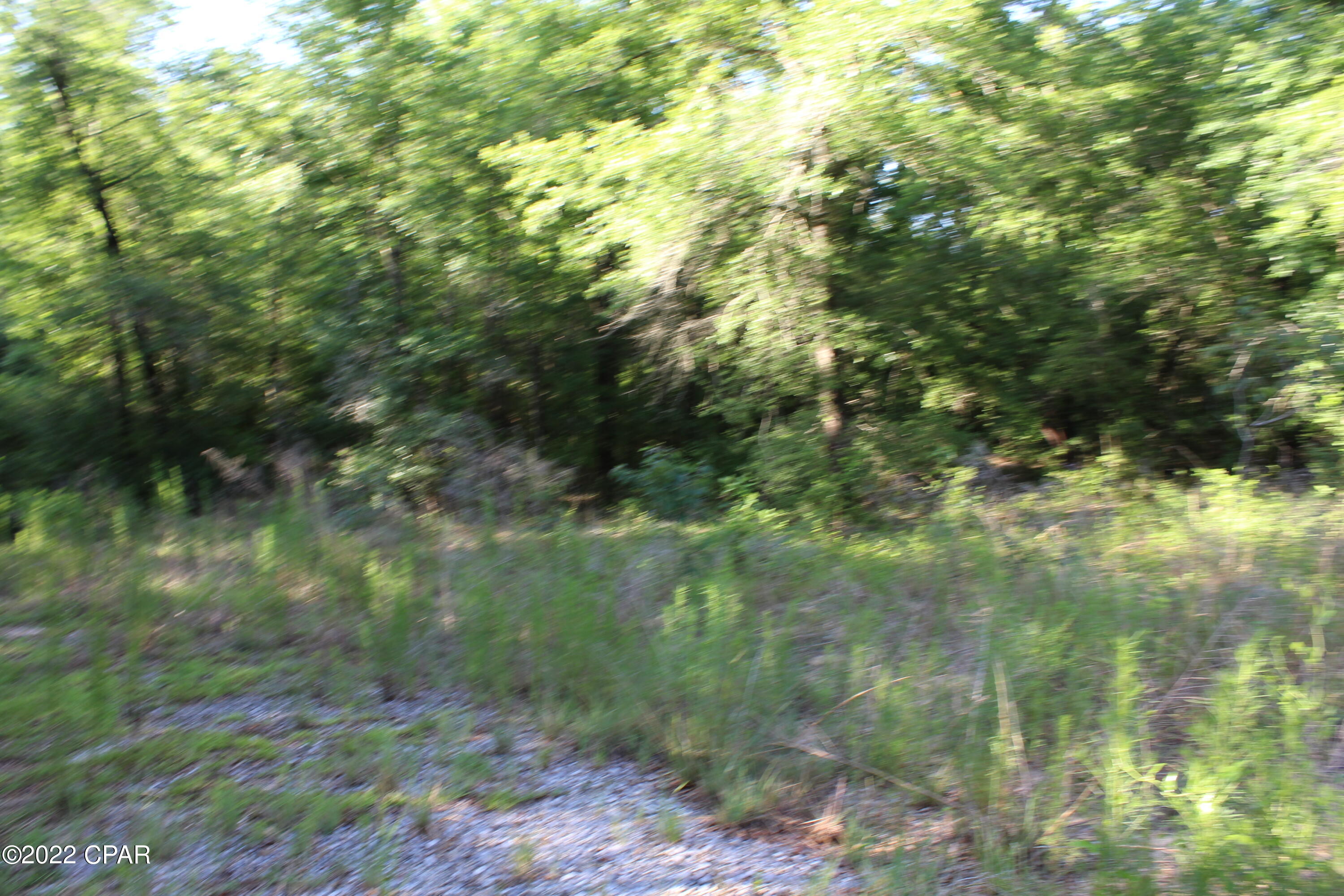 Paradise Lakes - Land