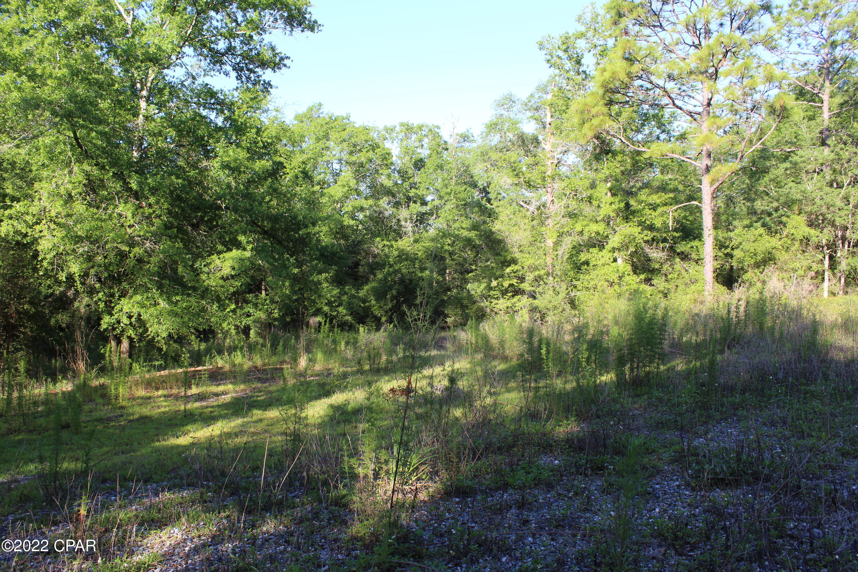 Paradise Lakes - Land