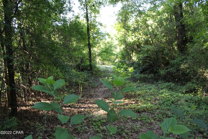 Pretty wooded lot ready for your home.  Manufactured home is fine but will need approval as a home would by the HOA.  Only lot in Paradise Lakes that does not use the gated entry.  Two storage buildings are on the homesite, and a gravel driveway is in place.  So site is ready to go. Territory RD is on the County's list to be paved in the near future.   Go take a look we won't mind, look for Realtor sign on Territory RD on your right traveling West