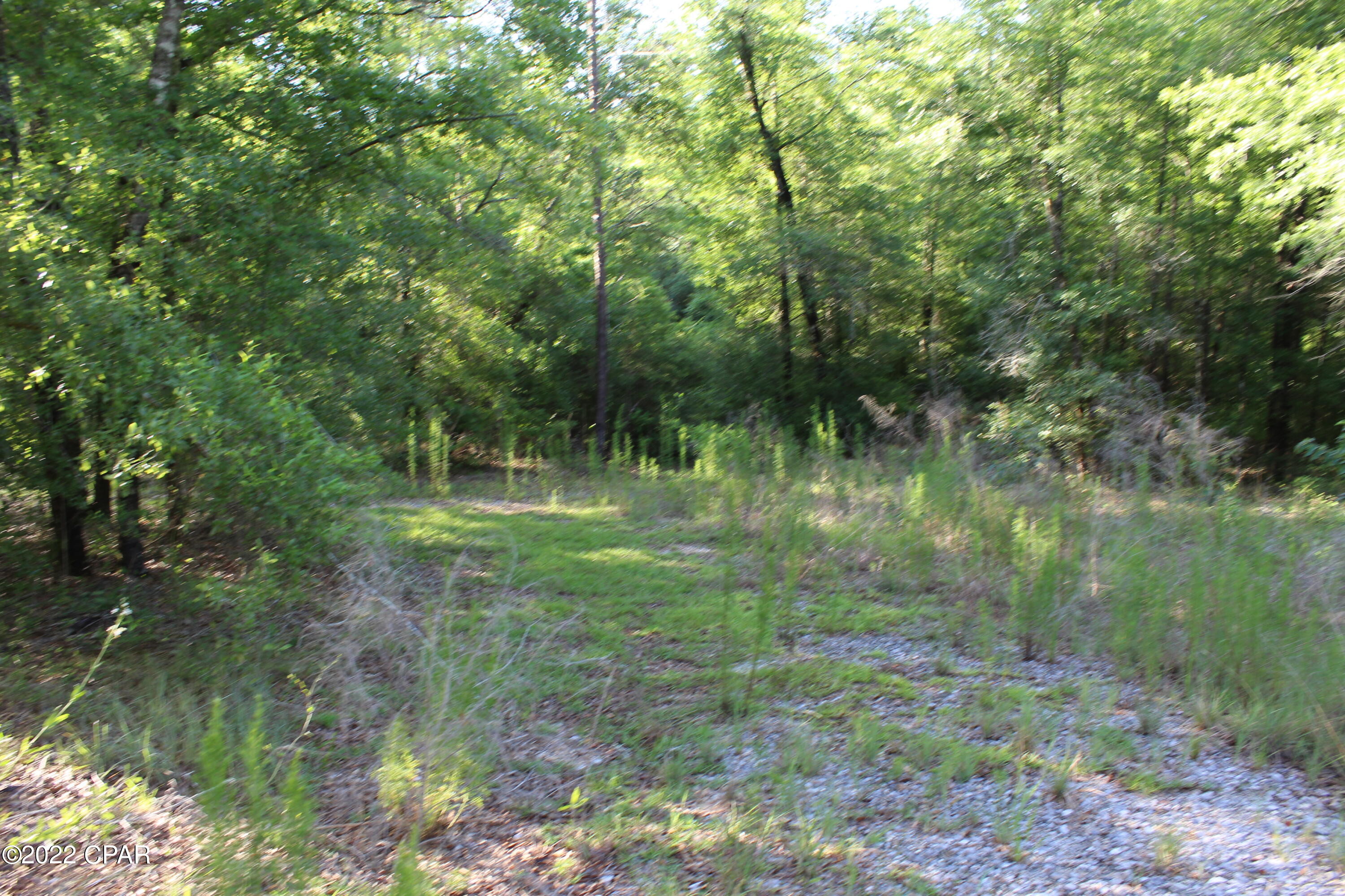 Paradise Lakes - Land