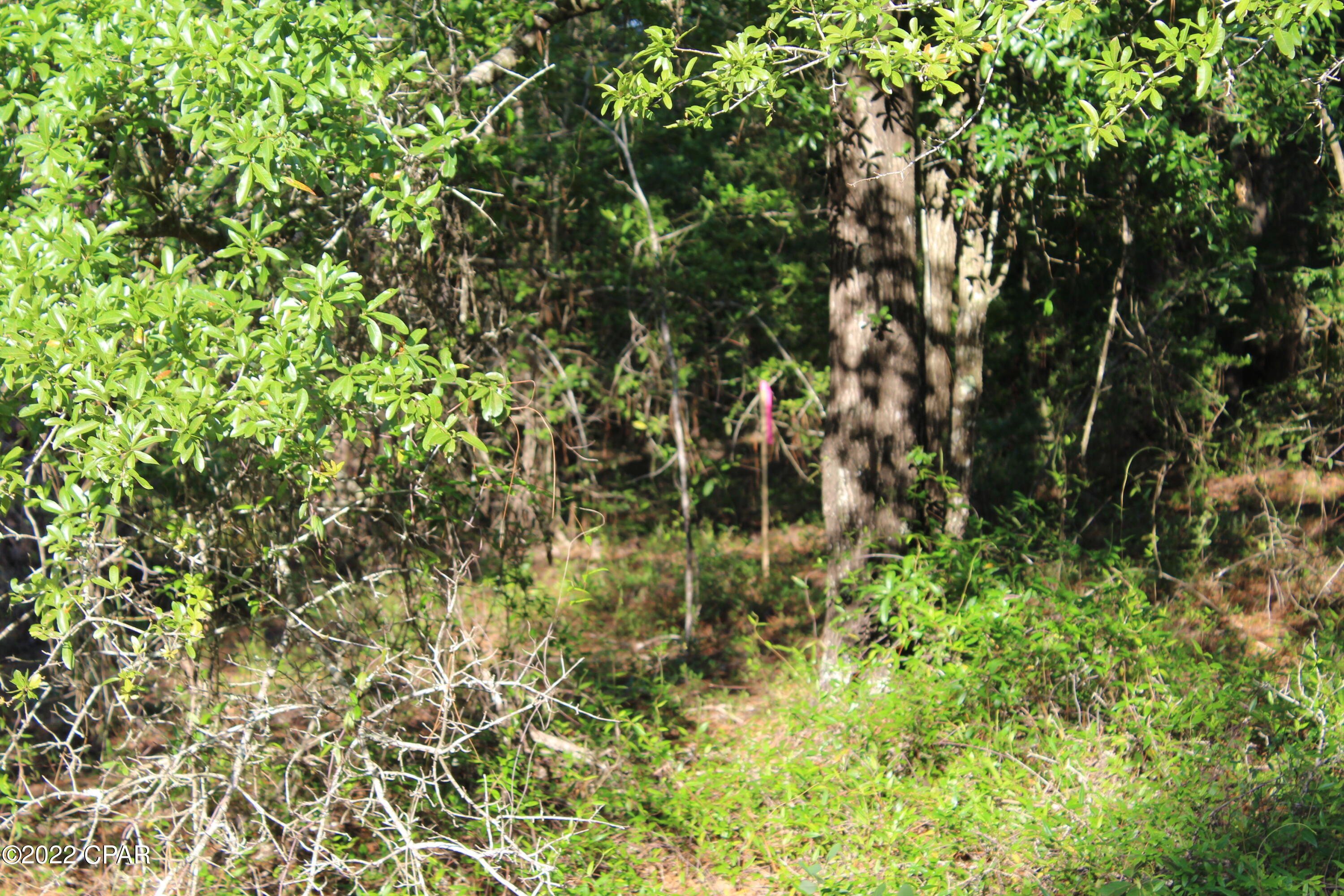 Paradise Lakes - Land