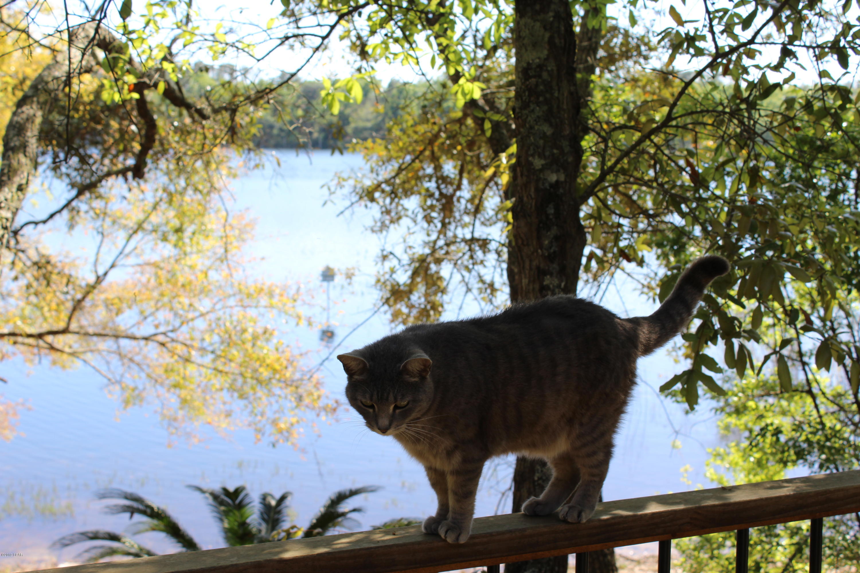 Stewart Lake - Residential
