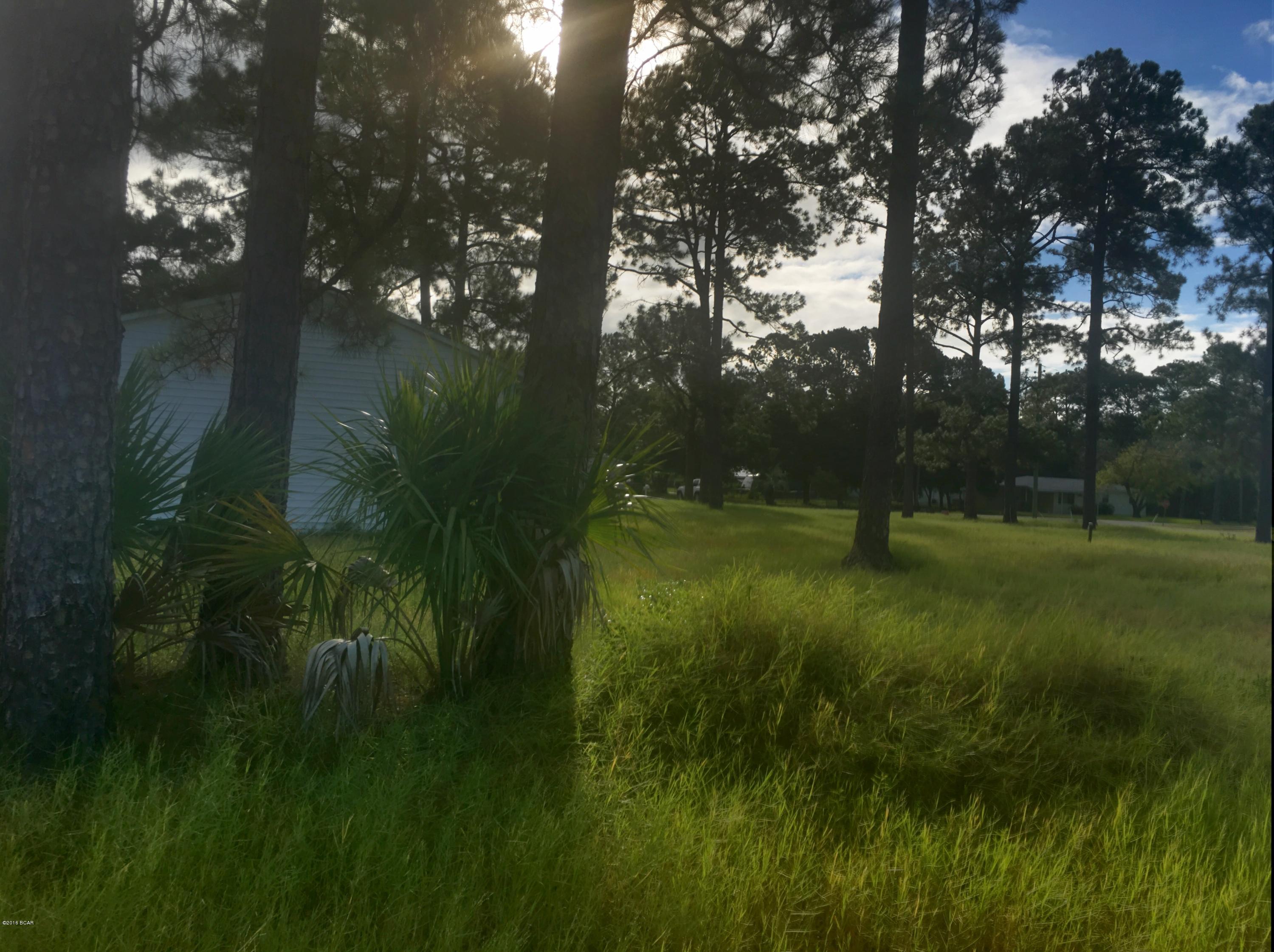 Lynn Haven - Residential