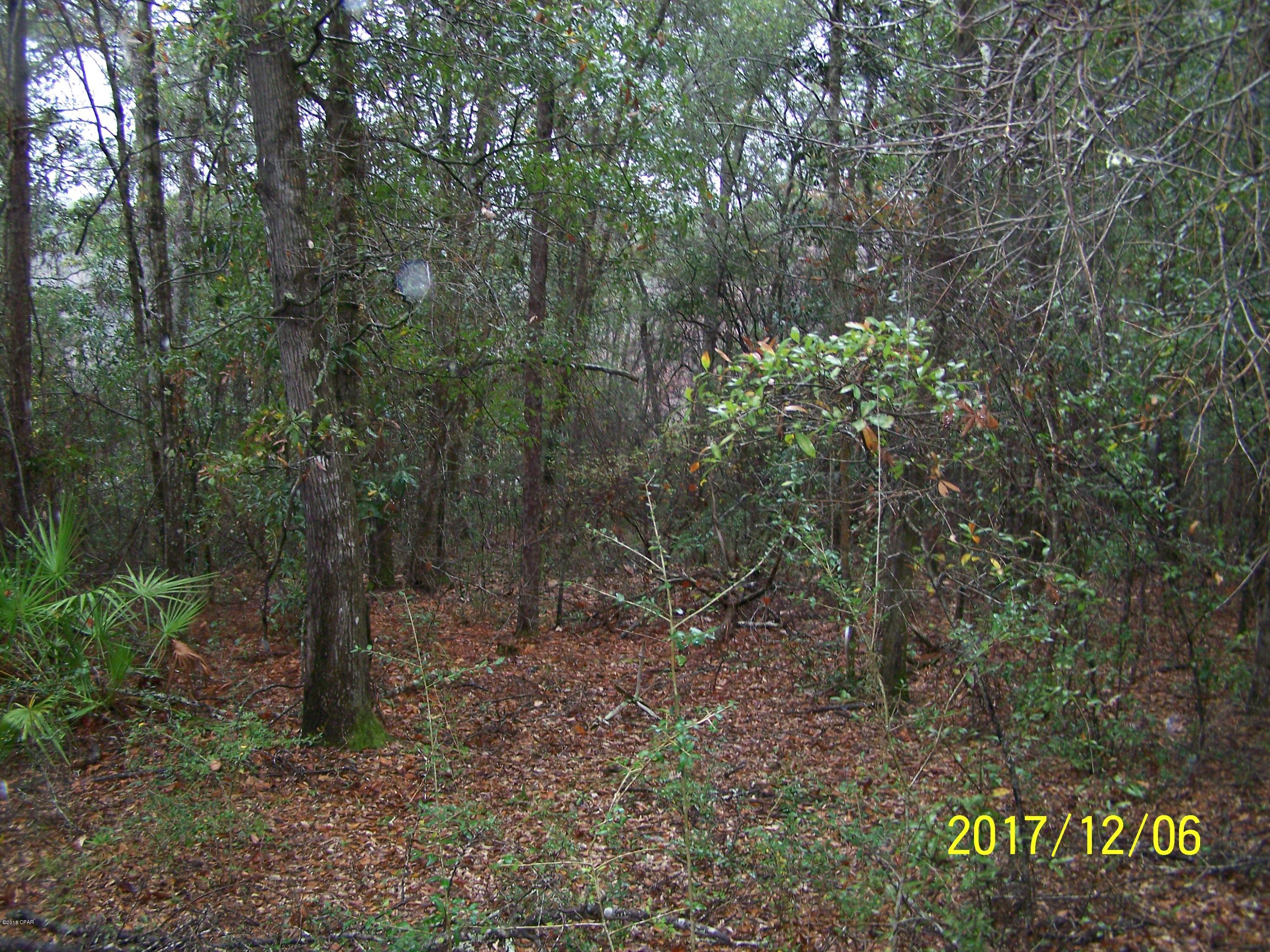 Compass Lake Hills Unit 6 - Land