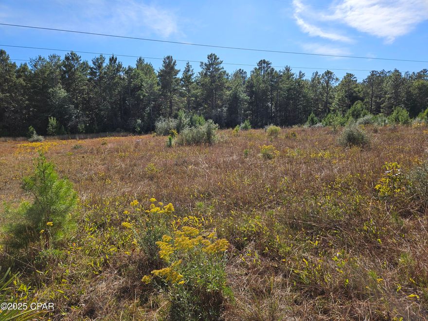 Your opportunity to own over 5 acres, with serinity, quietsness. Build your dream home or a place to get a way for the weekend. No HOA or Restrictions. Land is full of timber and ready for the family or hunters.
Need a place to raise farm animals or raise a pole barn and go camping.
Property is part of a larger parcel MLS #781044
