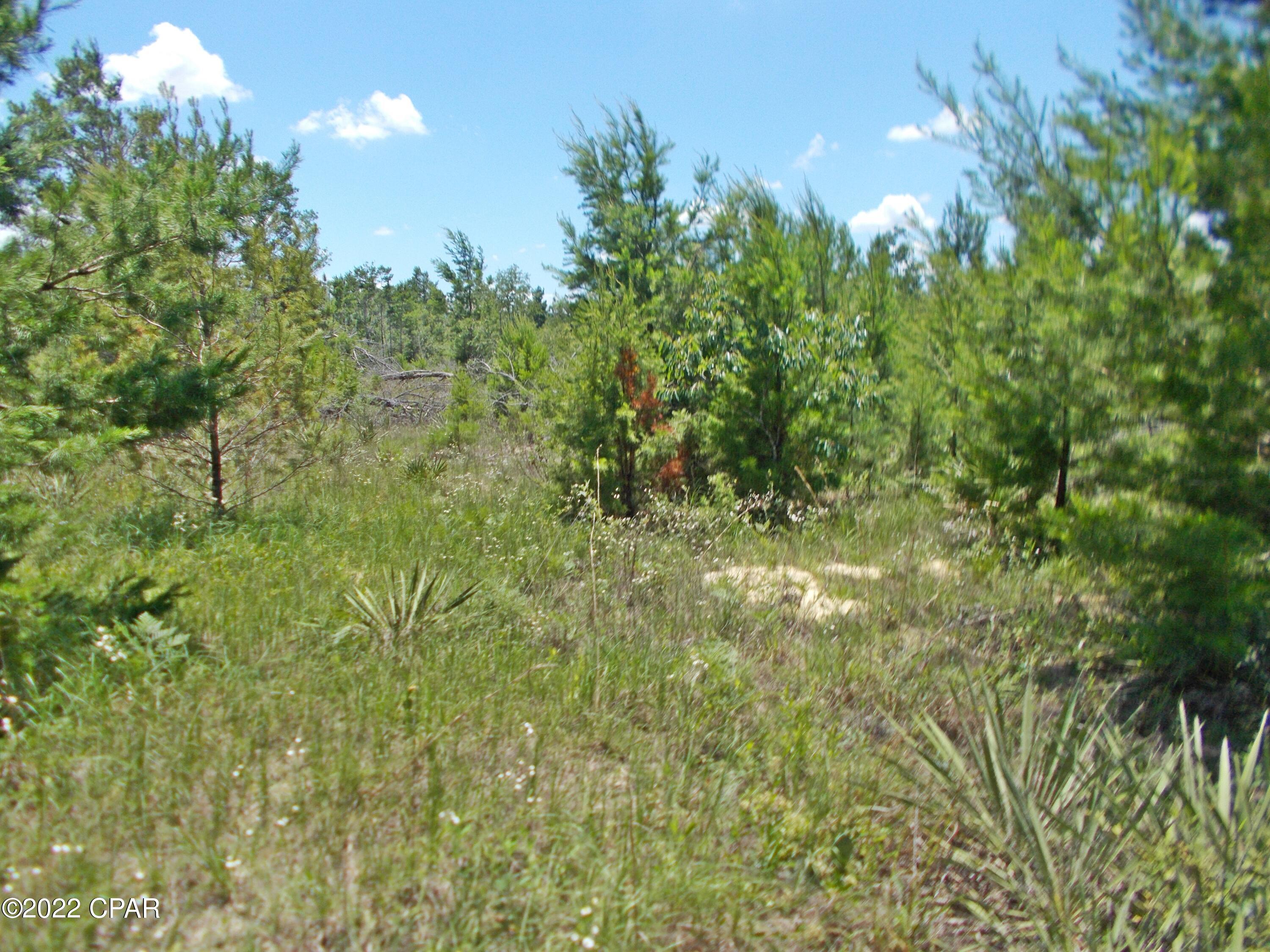 No Named Subdivision - Land