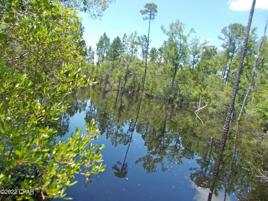 Hunters' paradise, this parcel is secluded and has a pond on it with plenty of wildlife, deer, turkeys, wild hogs, it has an easement to it from the main road and really opens up when you get onto it, there is plenty of room for building or hunting blinds, or an ideal investment property, quiet country living, Call agent today for info.