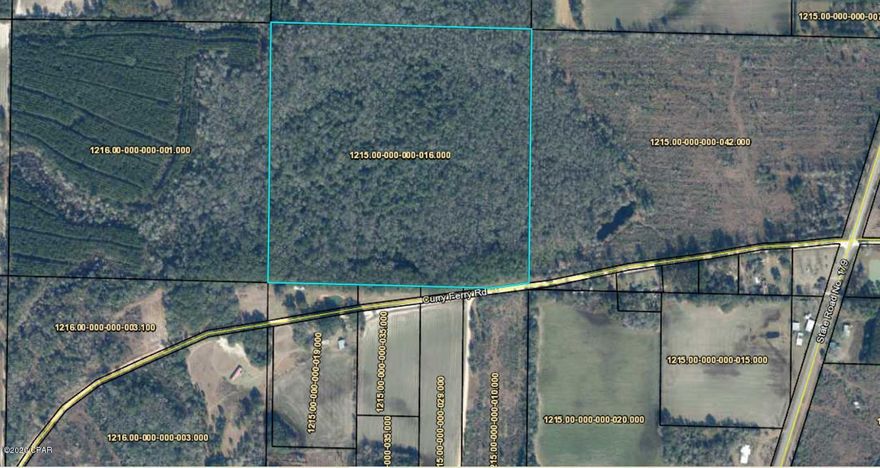 40 acres on Curry Ferry Road. Very accessible, has 214 ft of road frontage. Access is approximately 1 mile from State Road 179.  Possibility for long term investment for a low density community, perfect home stead and ranch/farm possibilities. if you are looking for acreage start here. The seller has no knowledge of the property, there are no surveys or environmental reports on record. The buyer will be responsible for any and all due diligence...