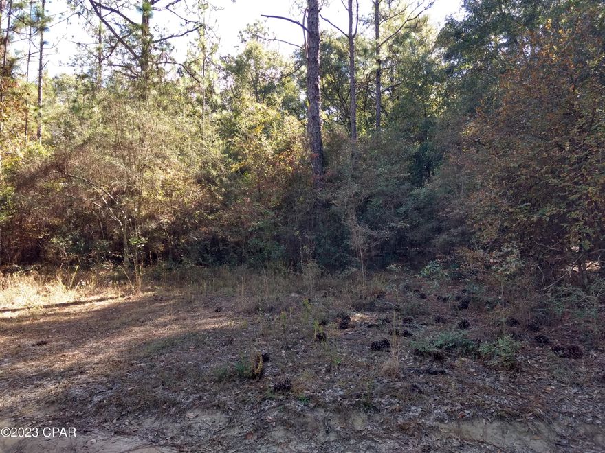 Beautiful lot that fronts on the 15th Fairway. This is a very nice Golf Course with low rates and some great golfing. Nearby is a large  Lake with boat ramp and good fishing. Lot is wooded, with a little bit of clearing, would make a nice home site. Located about 6 miles from Bonifay.