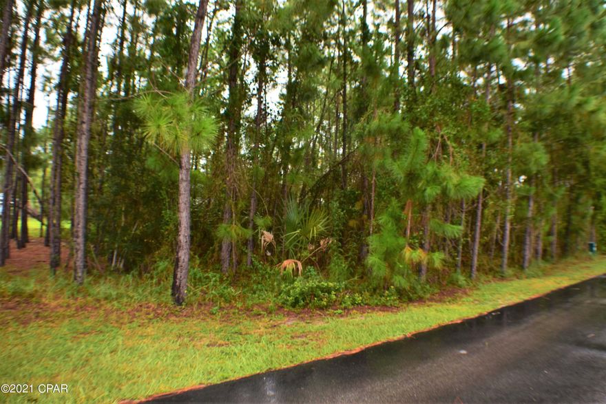 Waterfront lot in the gated community of Harbour Towne!  This 50x78 lot is on a canal with access to the bay and gulf.  There is a seawall and the community has two pools, a clubhouse, and a pond.   Great location too!  You're convenient to shopping, dining, the beaches and more!  All info is approx and must be verified by Buyers if important.