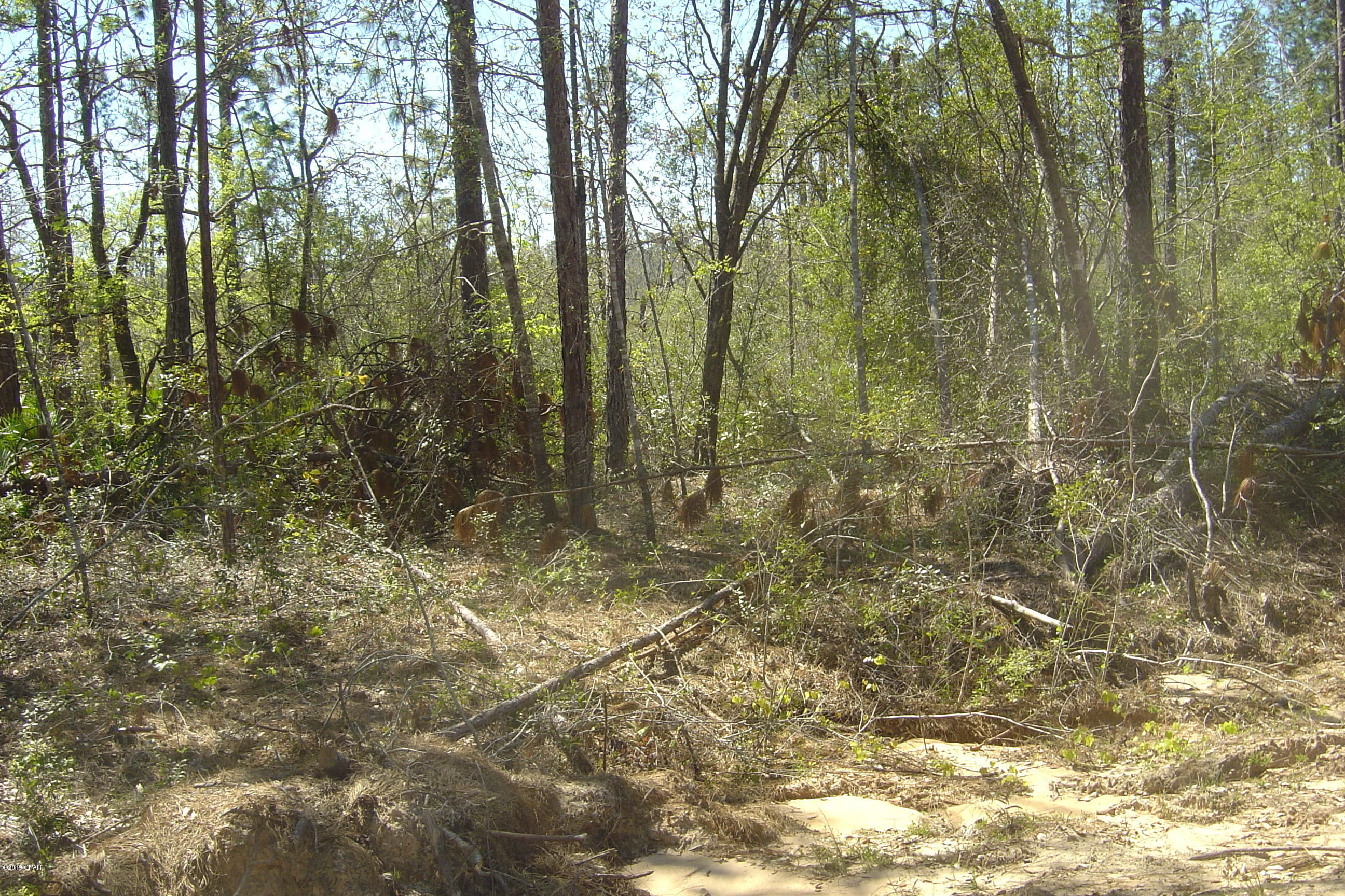 Compass Lake Hills Unit 4 - Land