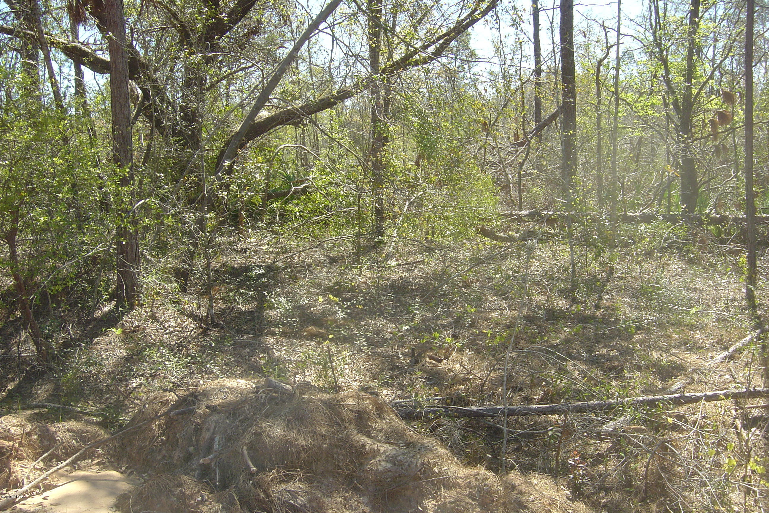 Compass Lake Hills Unit 4 - Land