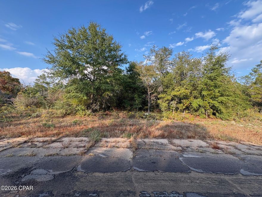 Take advantage of this exceptional opportunity to own an oversized .591 acre building lot in Unit 6 of Sunny Hills, located at Lot 12 on Gondolier Drive. This lightly treed, flat and level parcel offers a prime homesite with plenty of space for a custom home, garage, and outdoor living area.

Positioned extremely close to the Sunny Hills Golf Course. Just six lots down from the fairway frontage along Gondolier, this property places you just moments from one of the community's most desirable recreational features. The surrounding area includes established homes near the golf course along with ongoing new construction, demonstrating continued growth and investment in this section of Sunny Hills. While this particular stretch of Gondolier has not yet been developed, that adds to the current privacy and future upside potential.

The generous size of the lot provides design flexibility and added buffer space compared to standard parcels. Whether you're planning to build now or secure a strong investment in a growing Northwest Florida community, this property checks all the boxes.

Great location, oversized footprint, and priced attractively don't miss this opportunity.