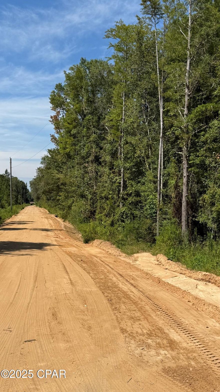 This is a nice, affordable timber/hunting/fishing tract with Holmes Creek running through it. There's 1,800 + or - feet on Holmes creek. Stand 1 is 8.7 acres of 10 to 15 year old Slash pine plantation, site index 80, stand 2 is 30.4 acres of natural pine & hardwood, site index 80, stand 3 is 30.5 acres of mature bottomland hardwood, and stand 4 is 8.4 acres, an old field site, site index 80.