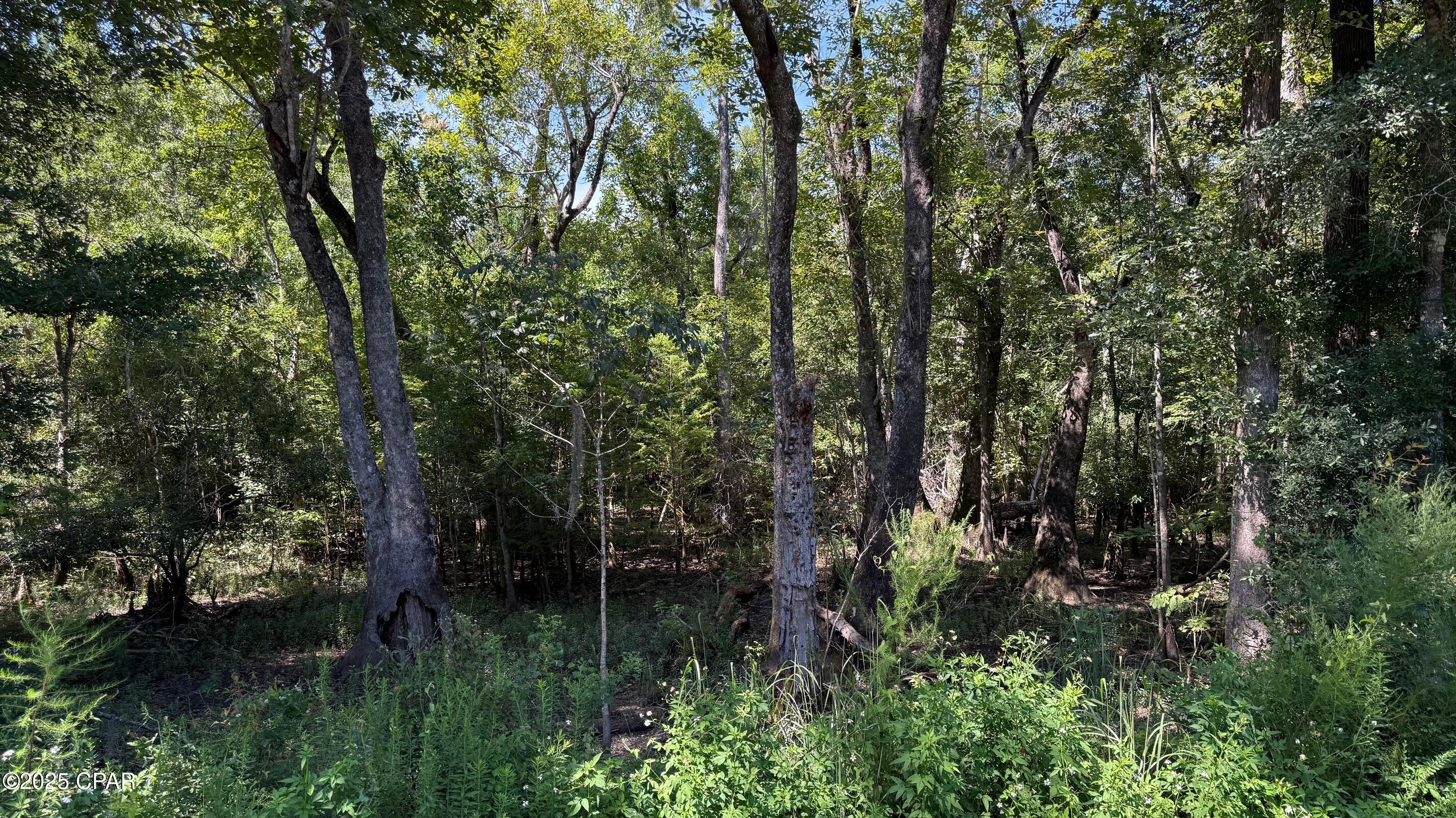 [No Recorded Subdiv] - Land