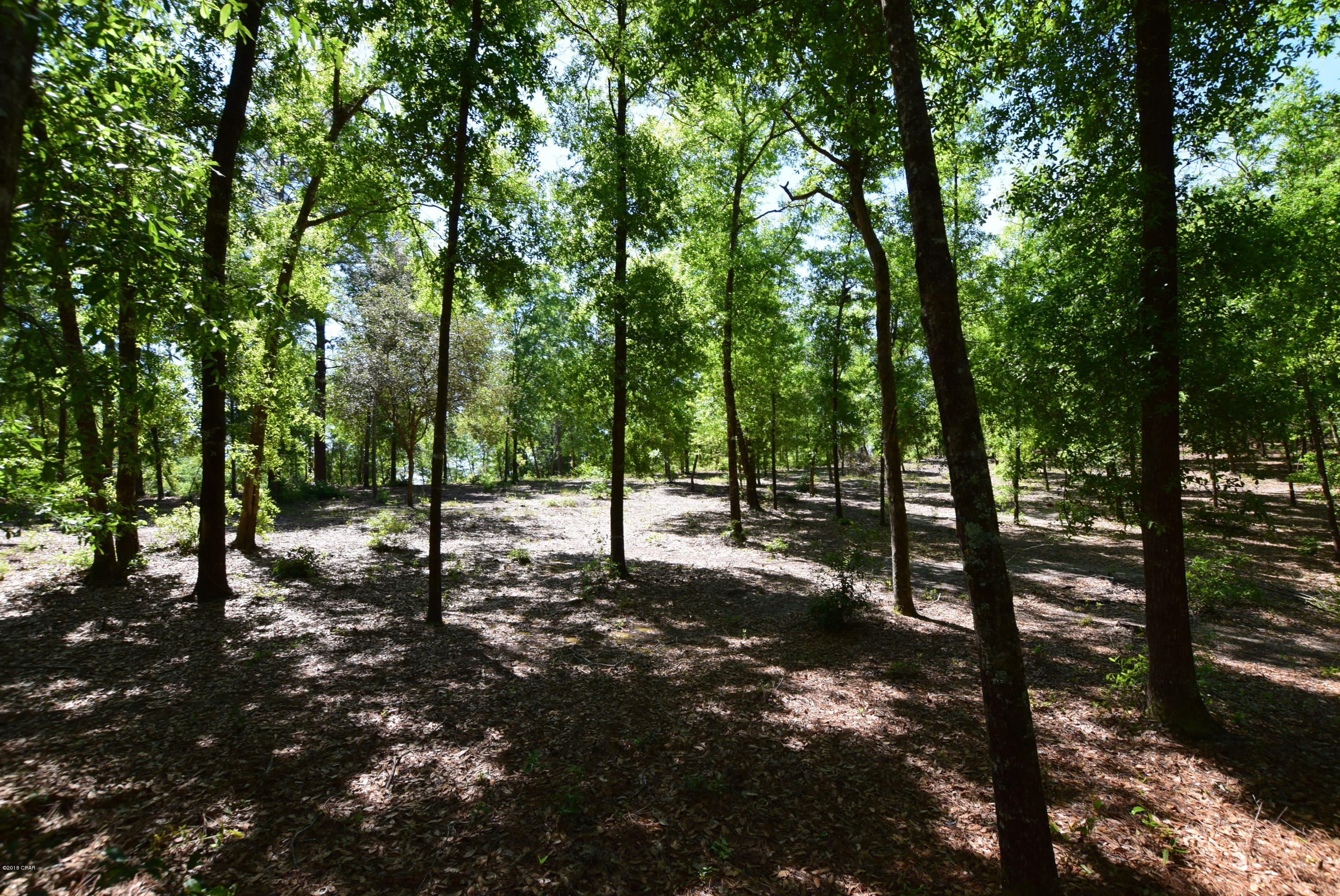 Payne Lakes - Residential