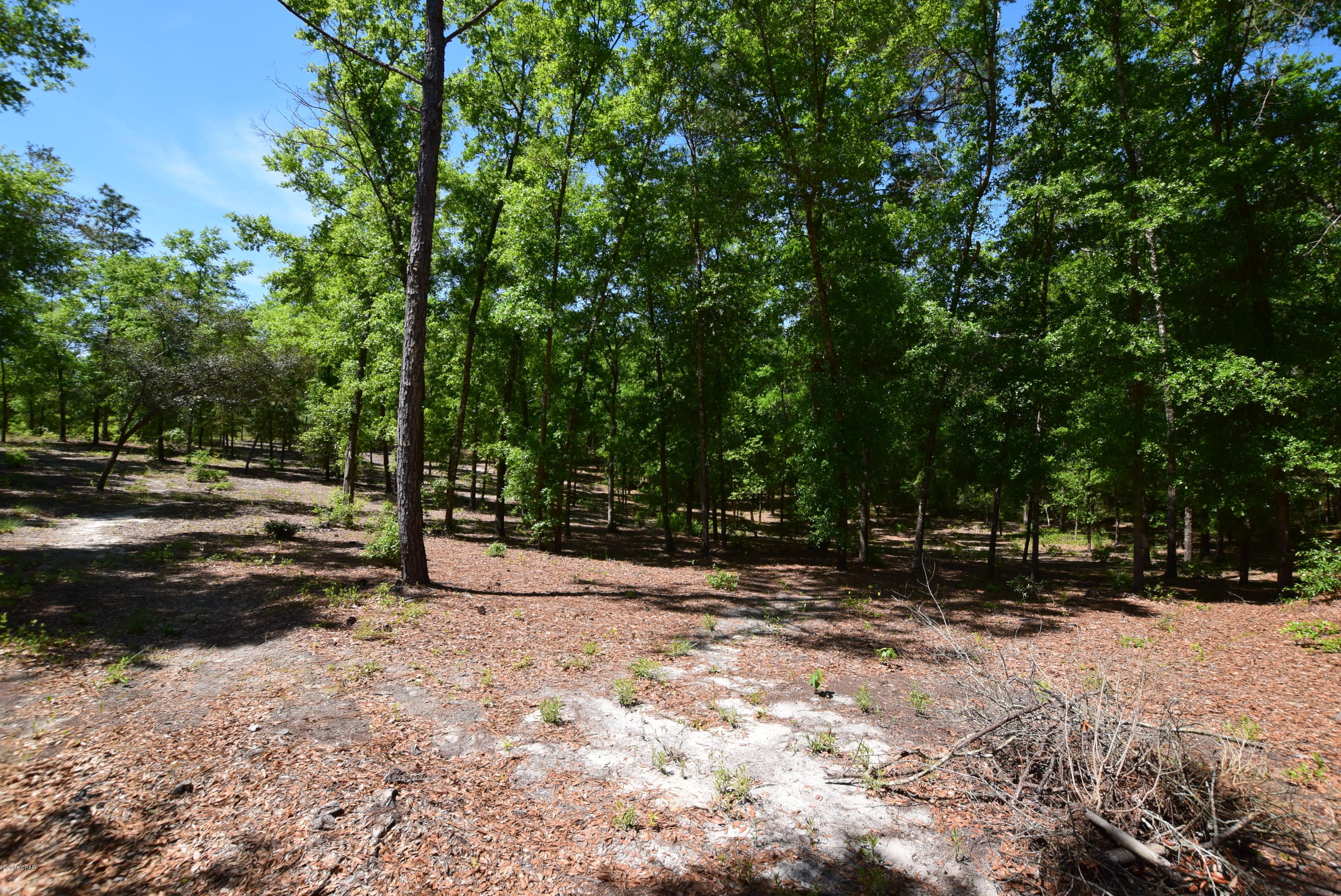 Payne Lakes - Residential