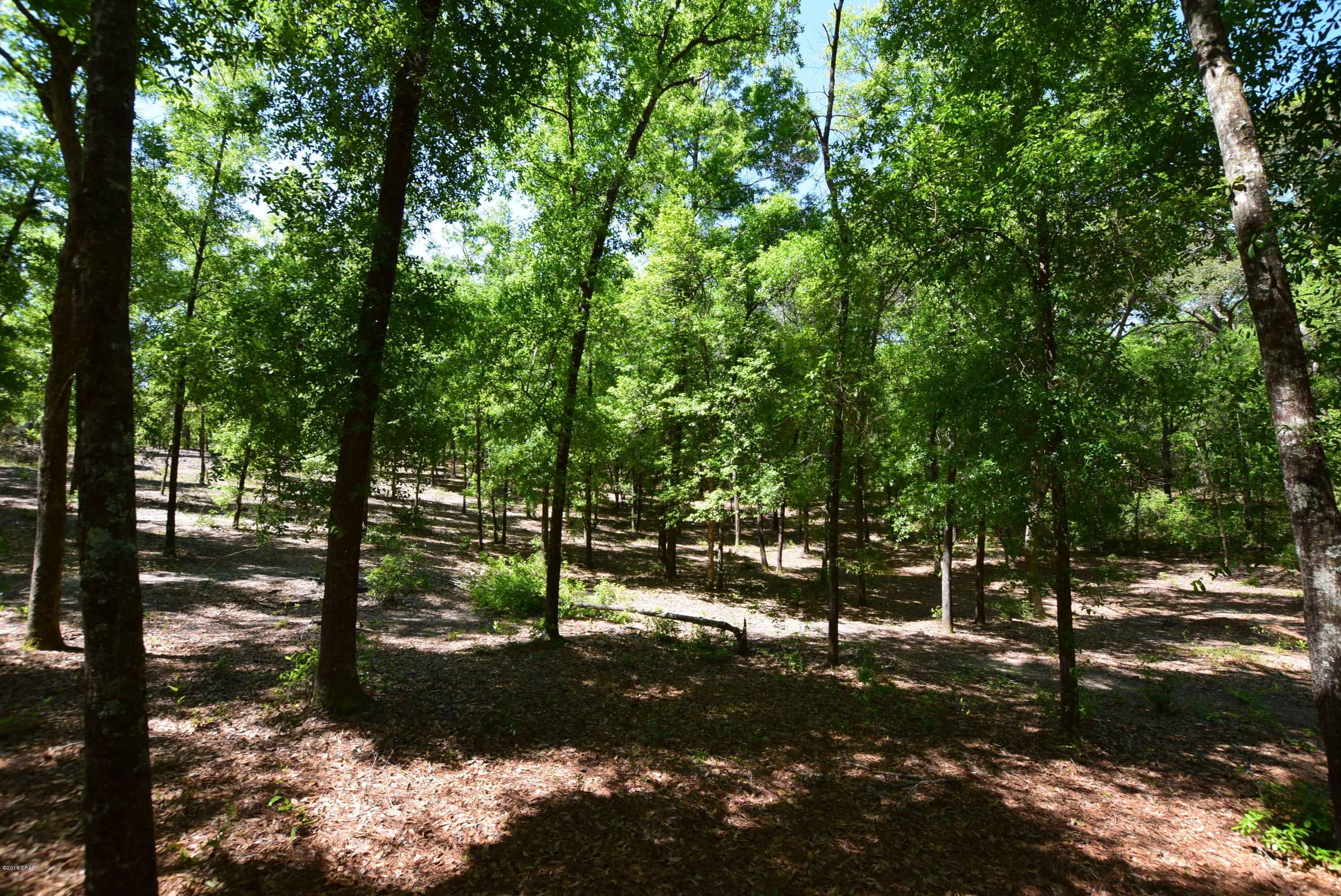 Payne Lakes - Residential