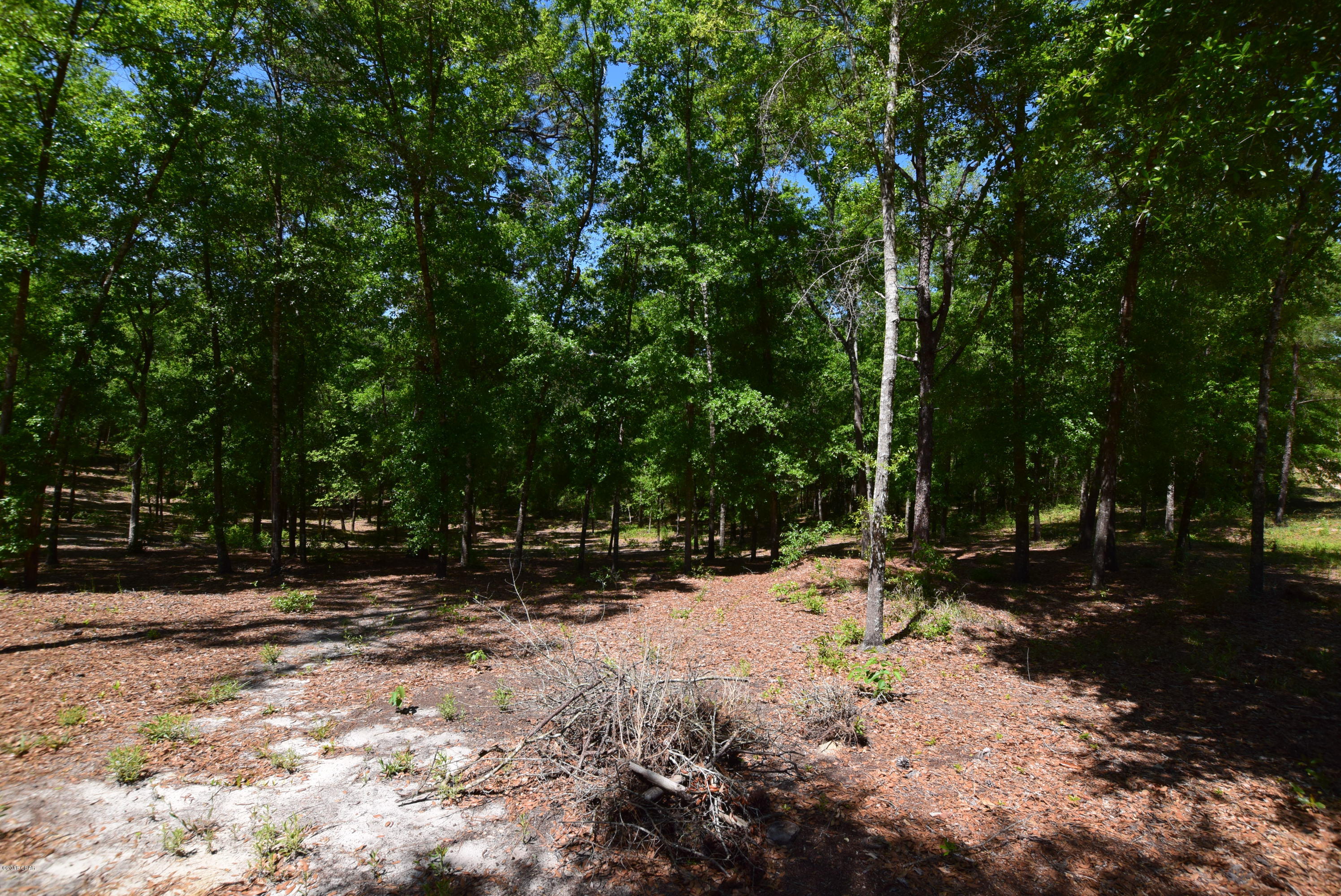 Payne Lakes - Residential