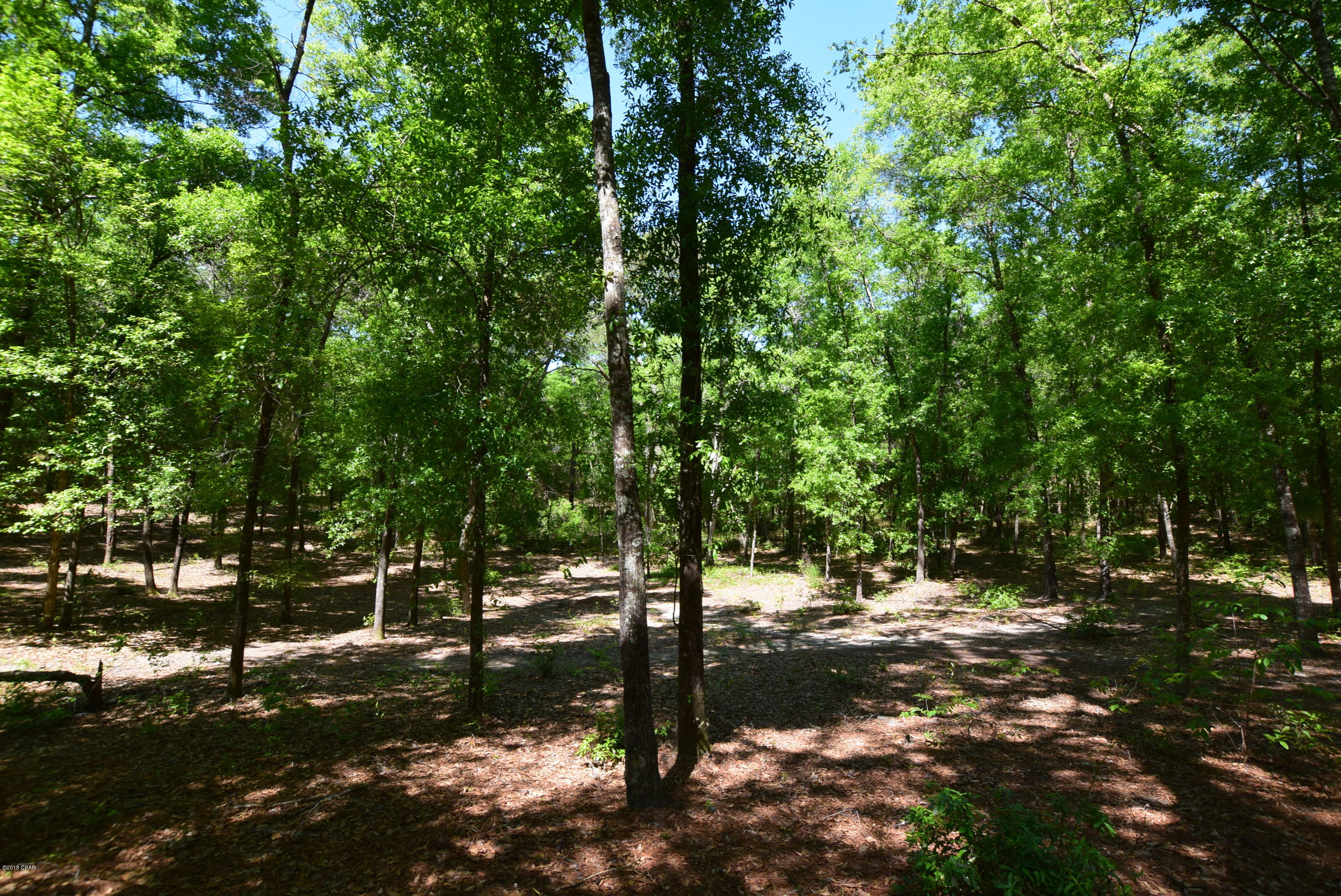 Payne Lakes - Residential