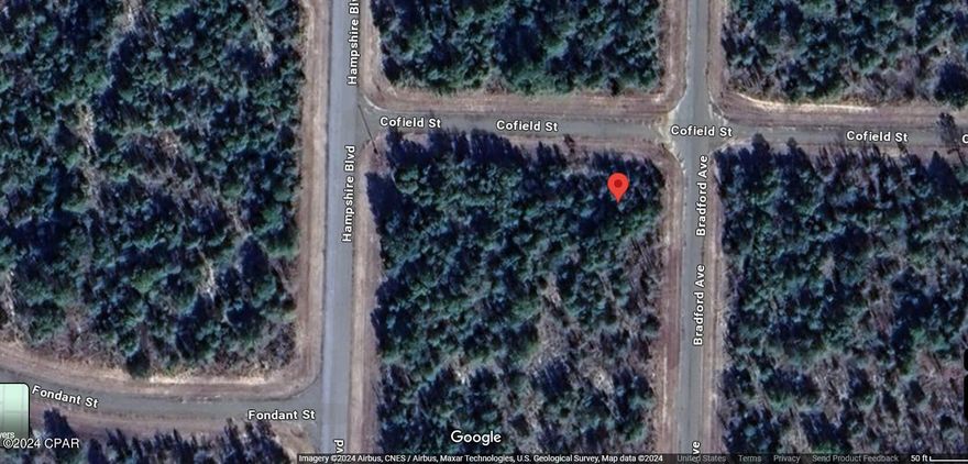 Only one lot from power lines!!! What are you waiting for??? Sunny Hills boasts the magnificent Sunny Hills Golf and Country Club!! No time frame to build in...homes only subdivision, no mobile homes...no HOA!! Come build your dream home now!! Don't miss out, call today!!!