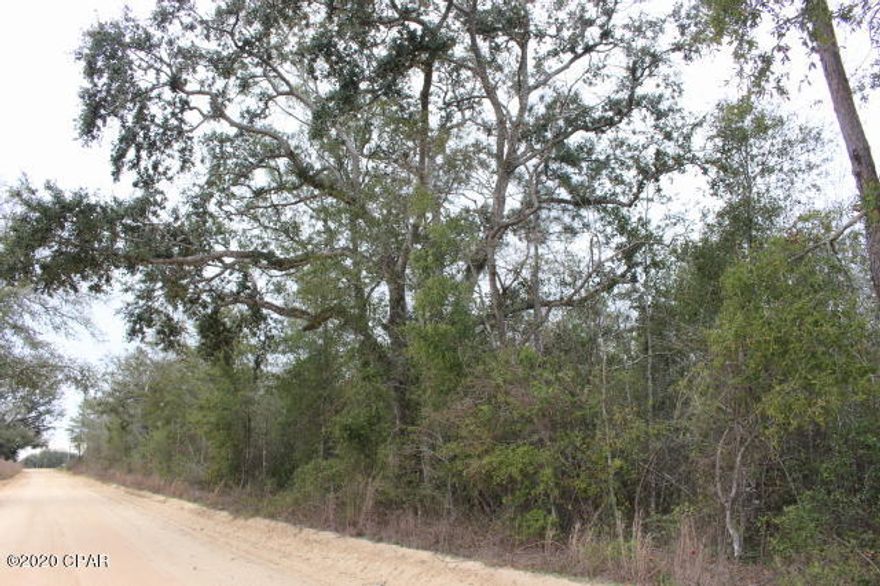 Wooded acreage located on the northeast corner of Green and Hussey Rd.  Over 2500 road frontage feet on Green Rd.  Loaded with pine and some scattered oak trees.  Lots of  building sites to choose from.