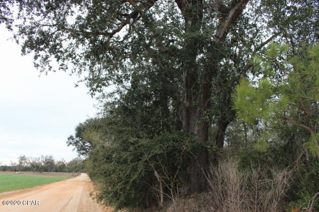 No Named Subdivision - Land